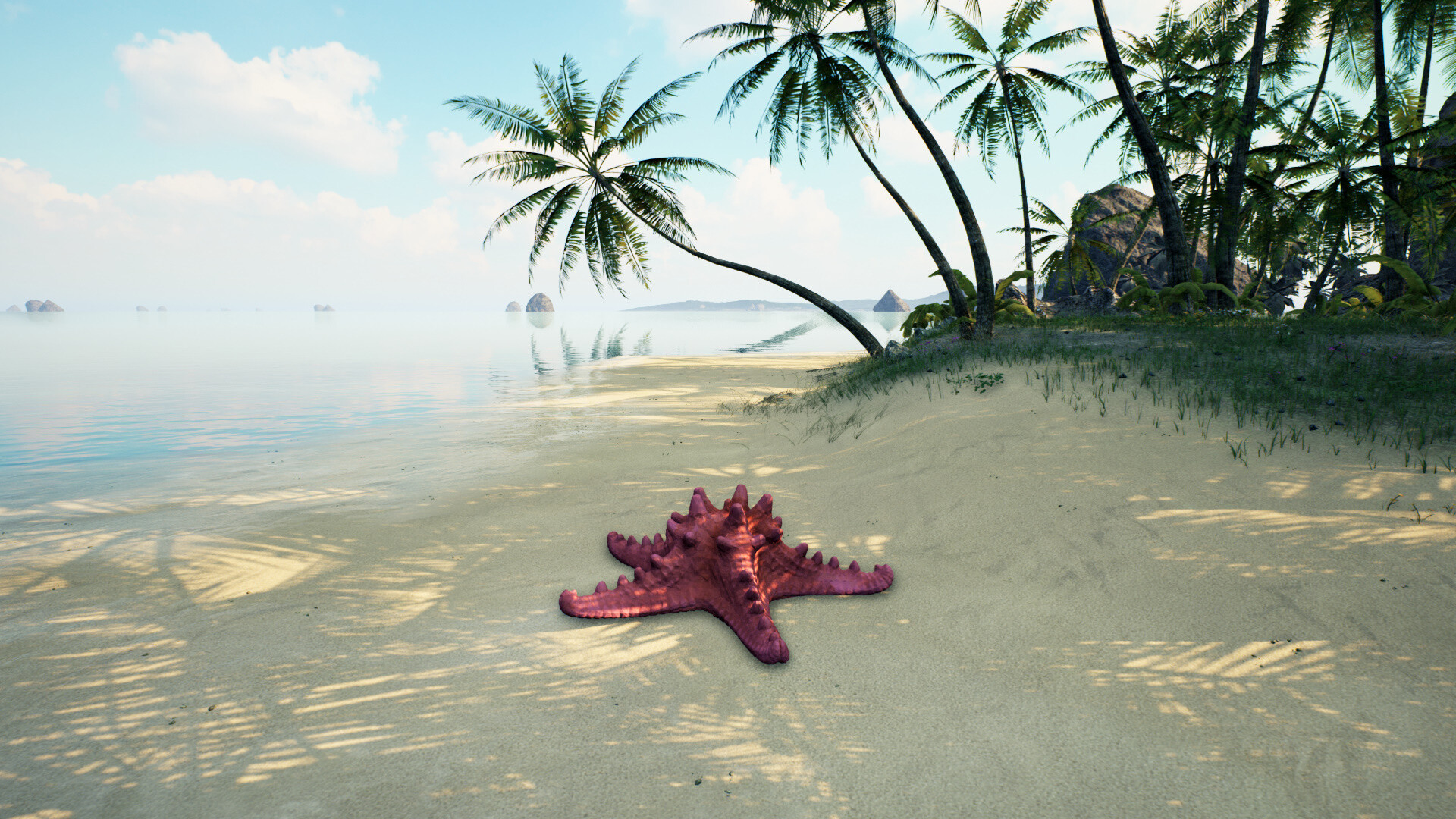 Starfish Simulator ๐ screenshot 1