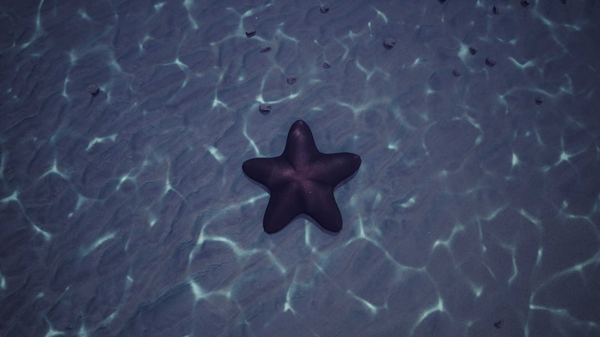Starfish Simulator ๐ screenshot 10