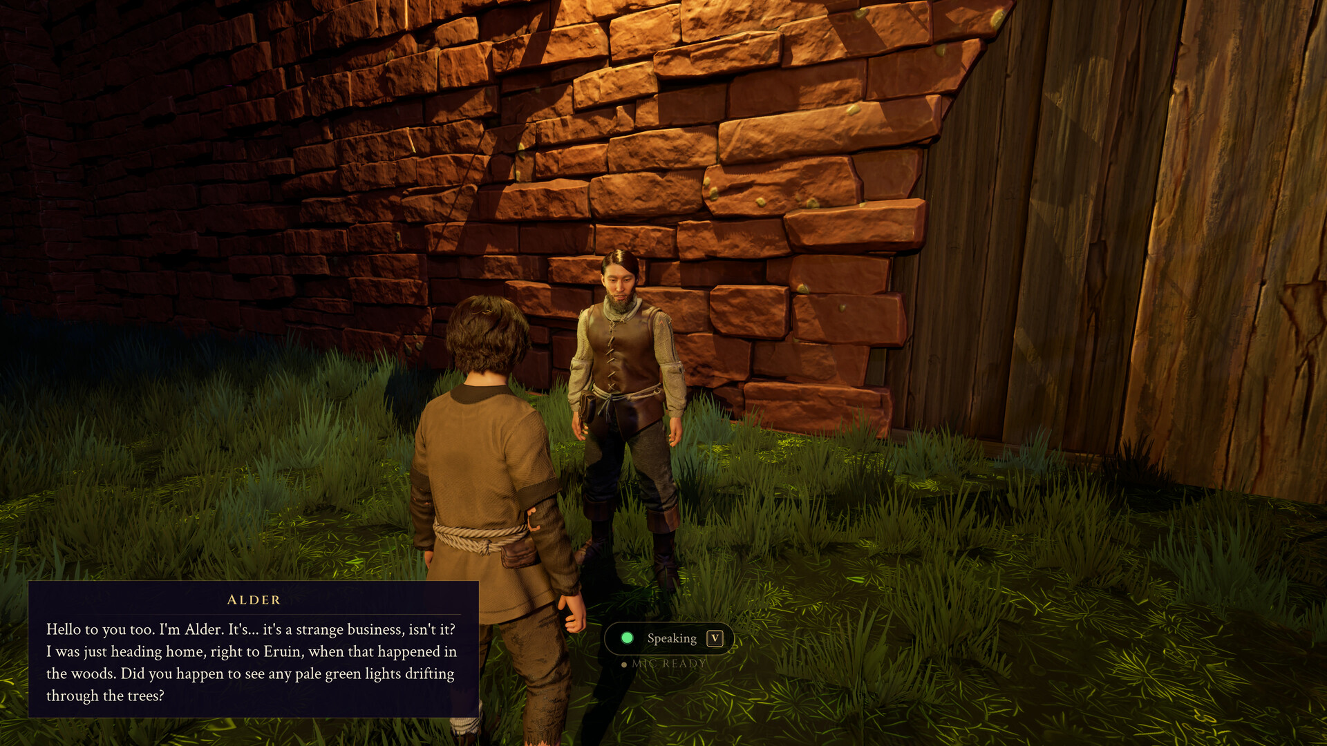 Eruin screenshot 1