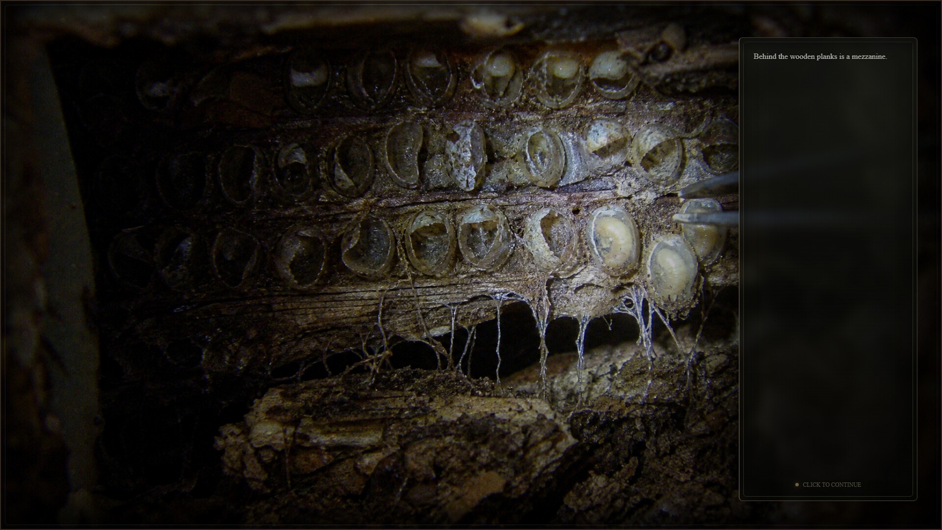 File 09:Insect Village screenshot 3