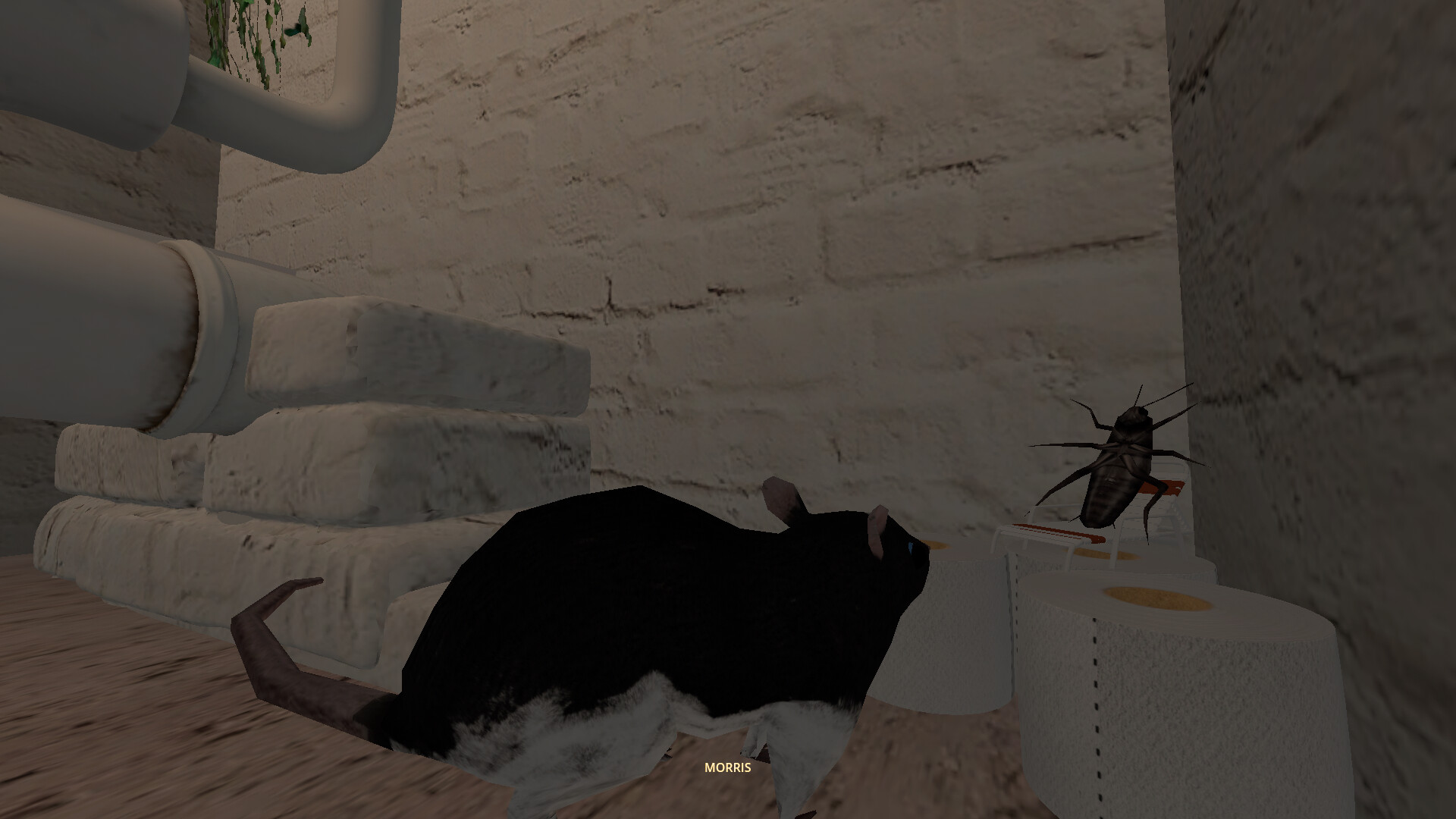 CLAM screenshot 8