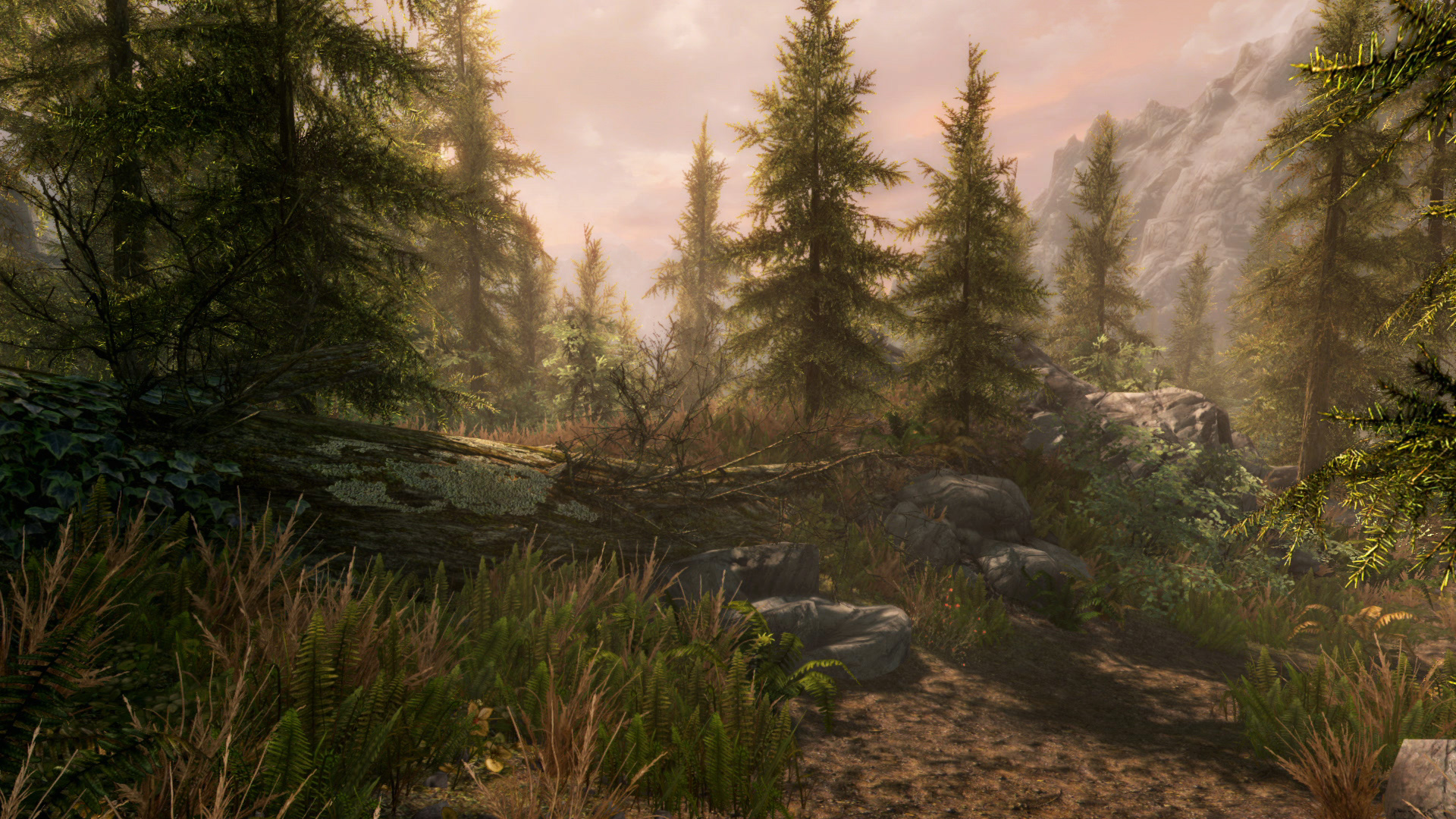 The Elder Scrolls V: Skyrim Special Edition screenshot 7