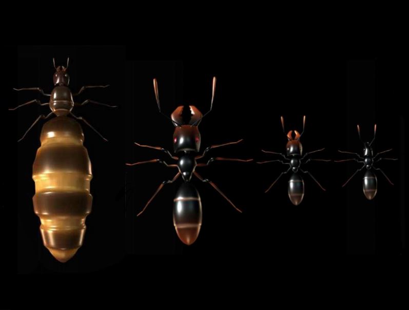 Ant Queen screenshot 4