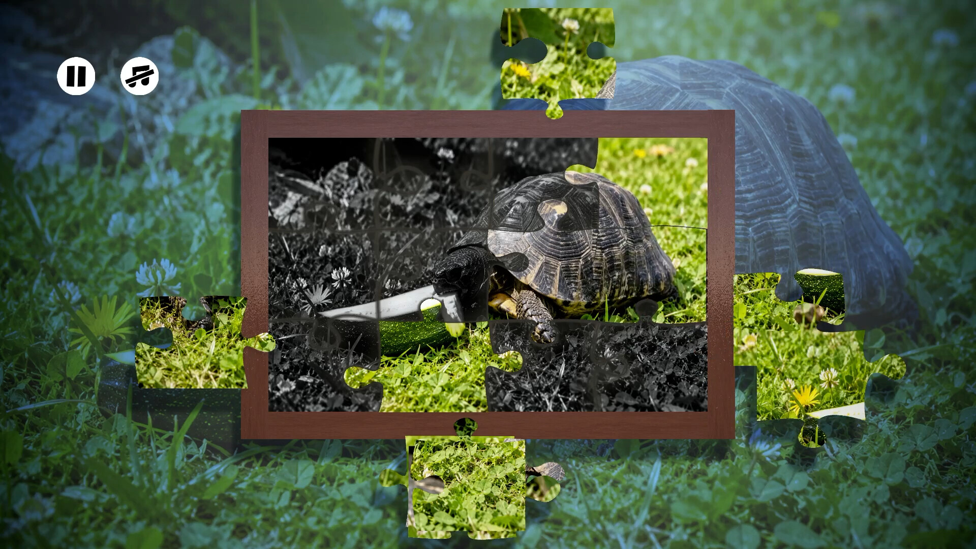 Puzzles Reptiles screenshot 1