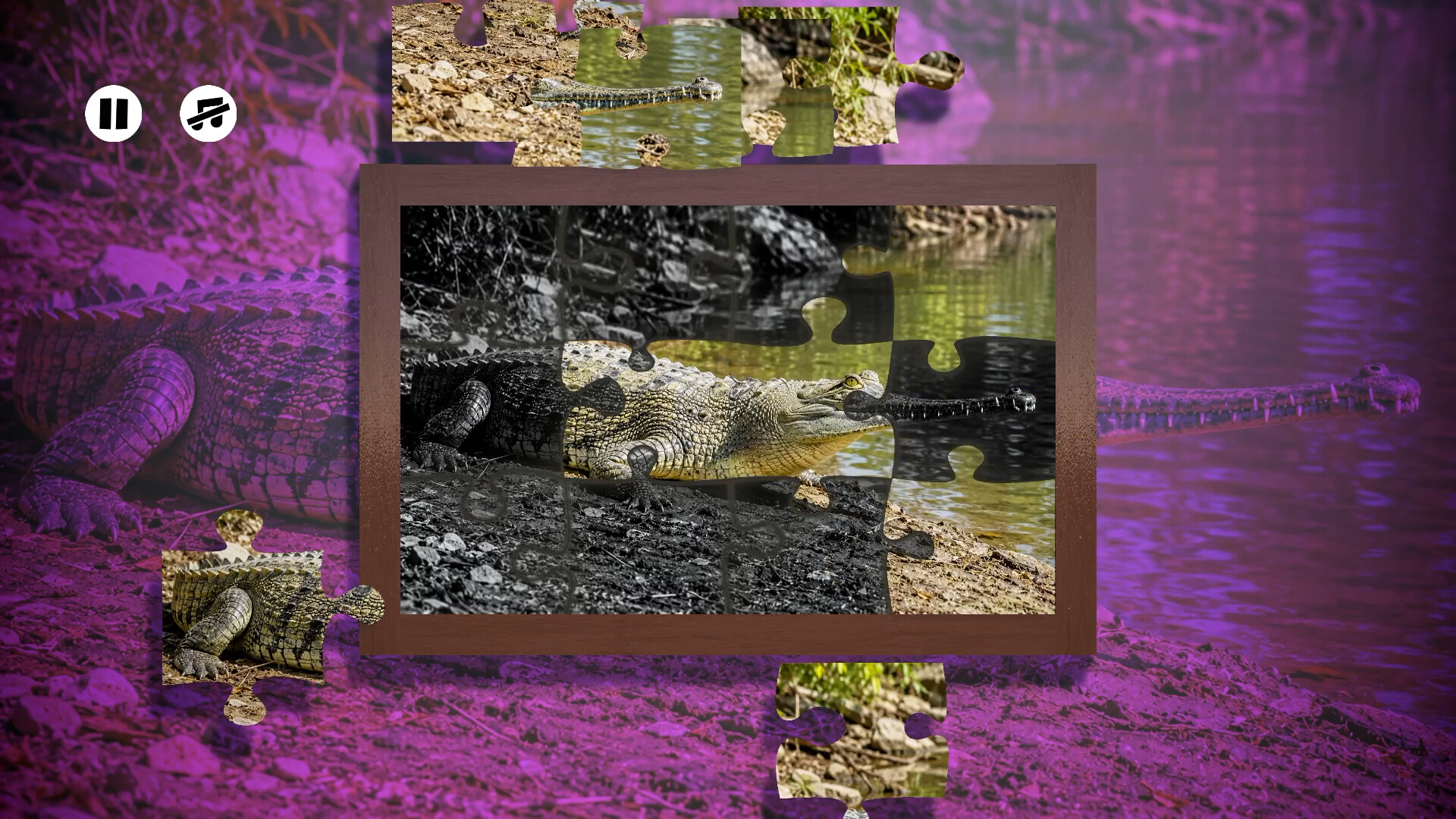 Puzzles Reptiles screenshot 2