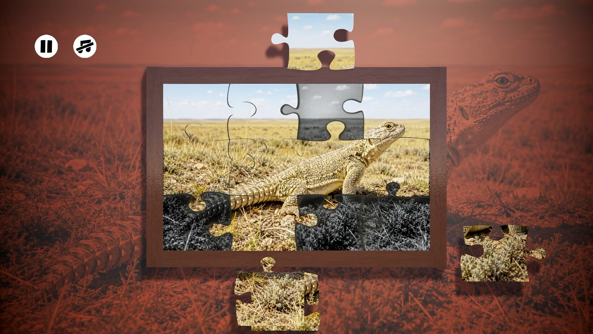 Puzzles Reptiles screenshot 4