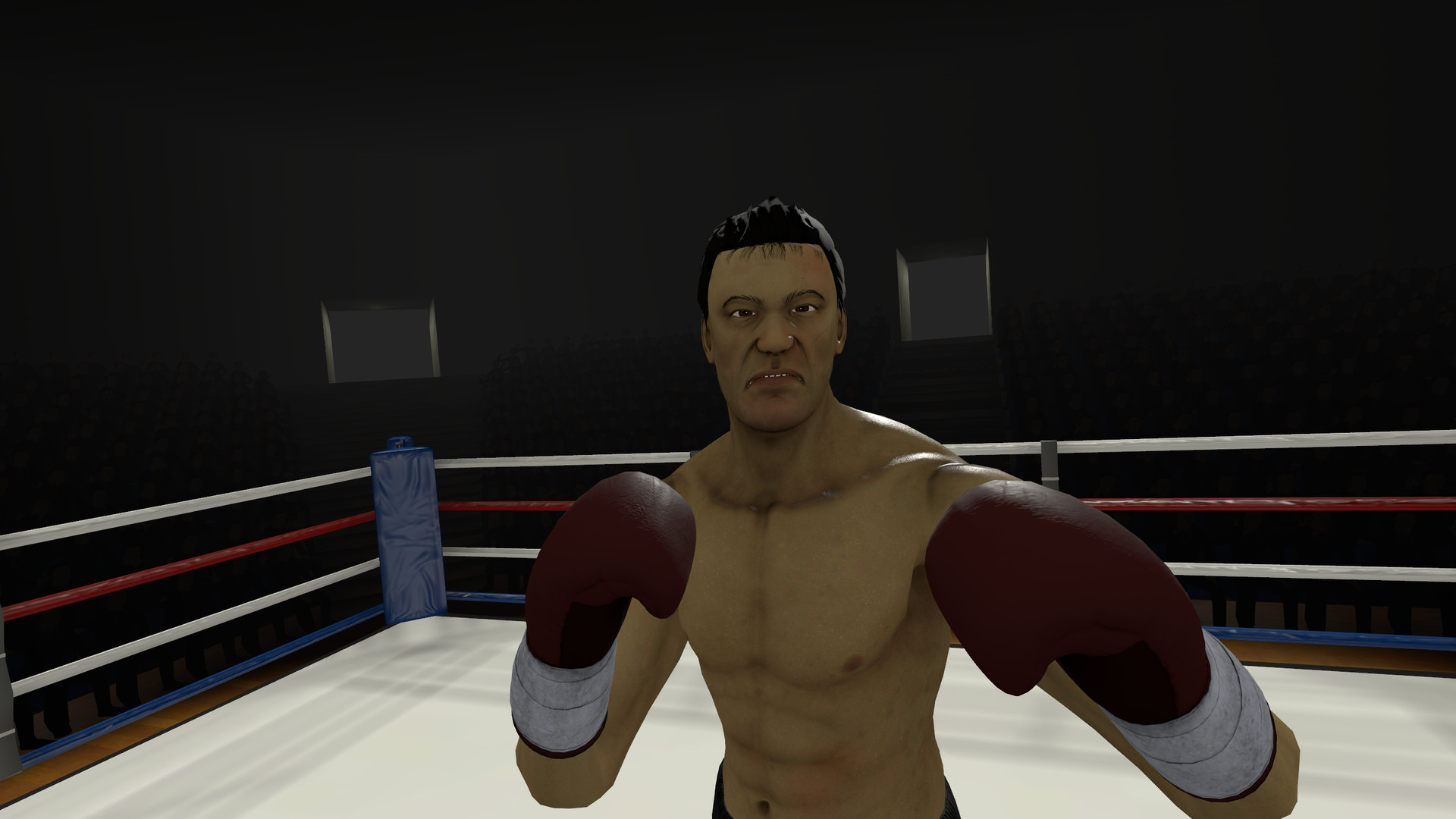 The Thrill of the Fight - VR Boxing screenshot 4