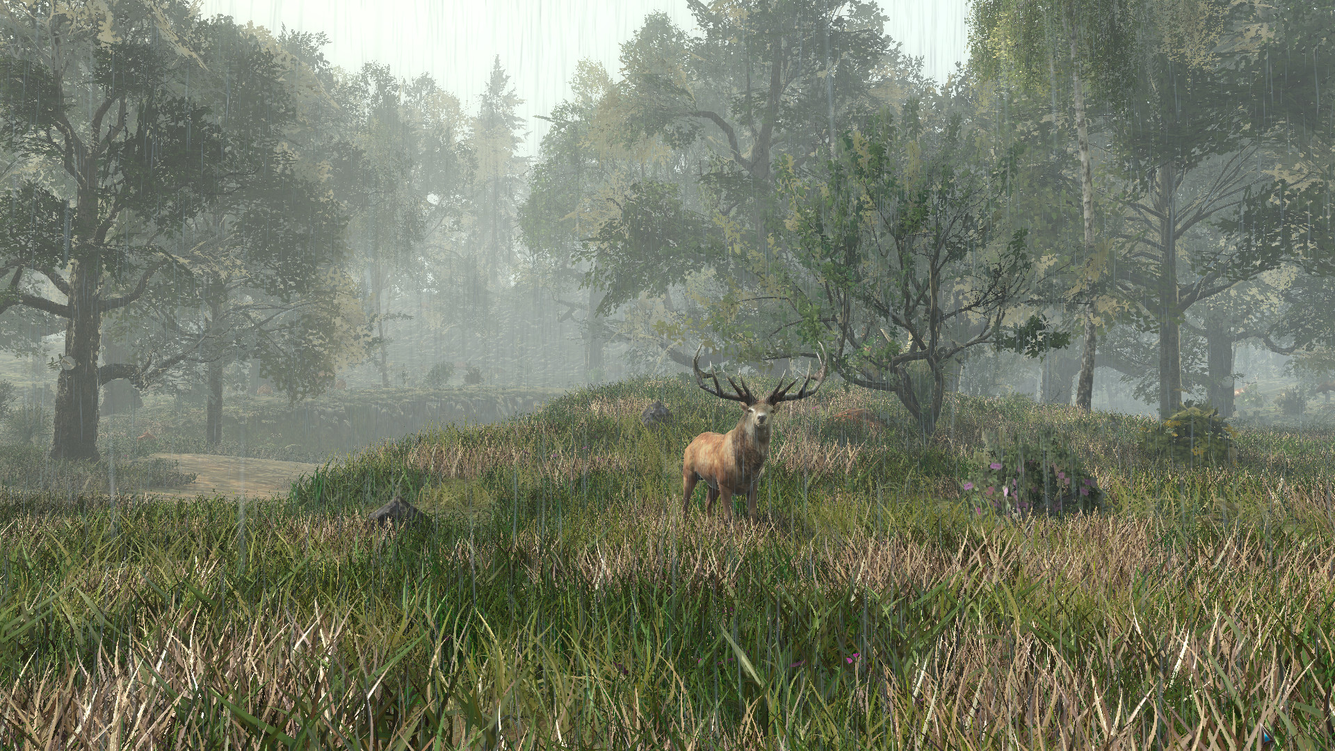 Life is Feudal: Forest Village screenshot 14