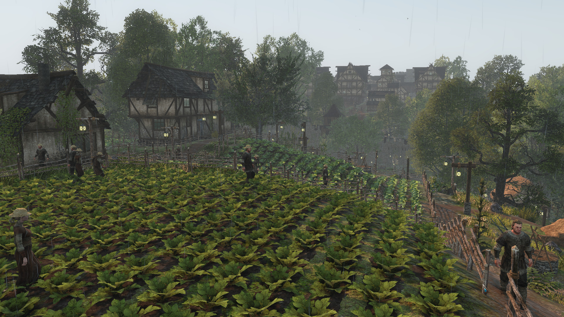 Life is Feudal: Forest Village screenshot 11