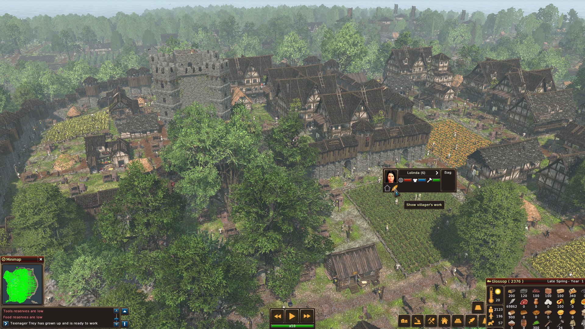 Life is Feudal: Forest Village screenshot 2