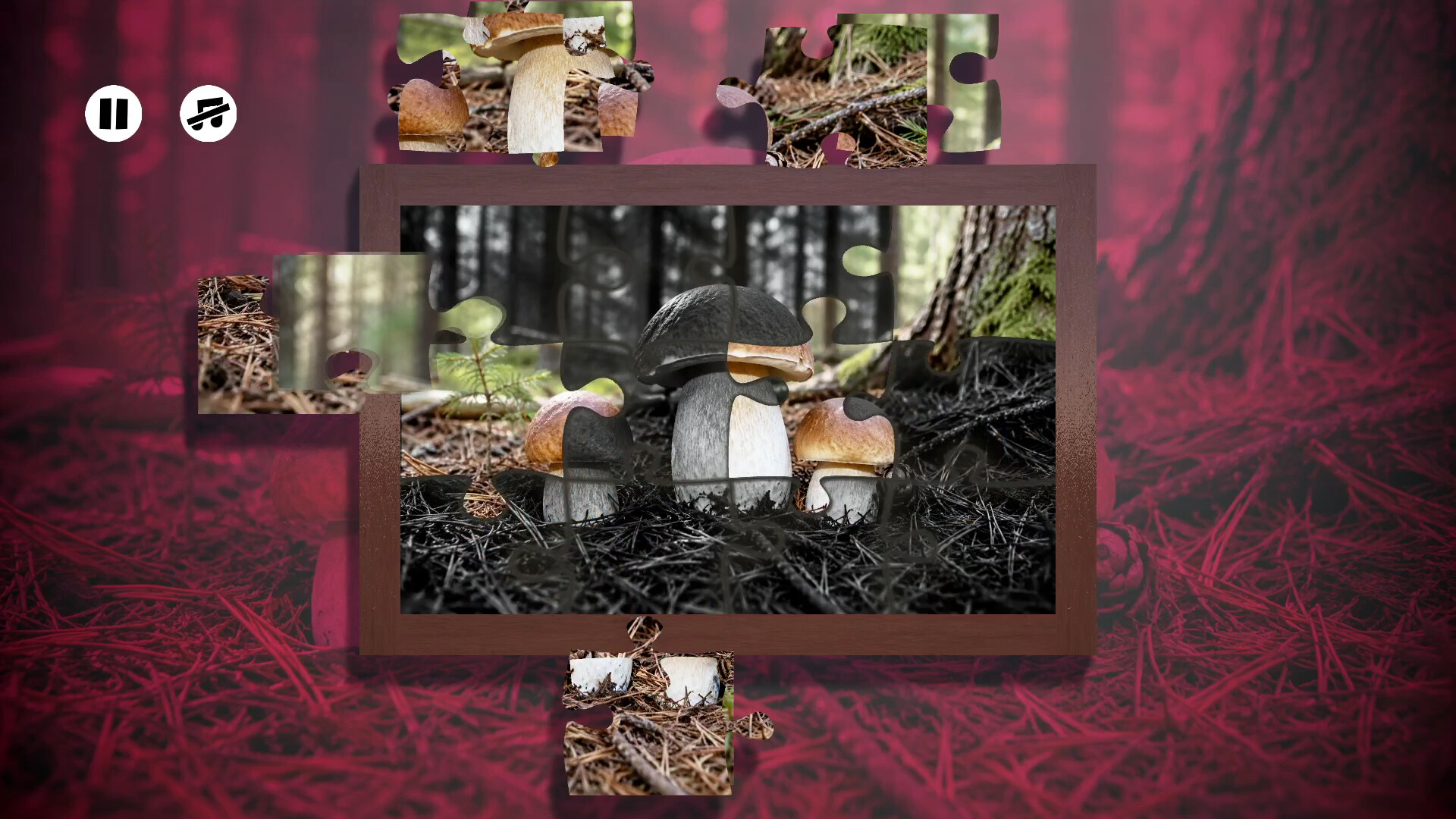 Puzzles Mushroom screenshot 1