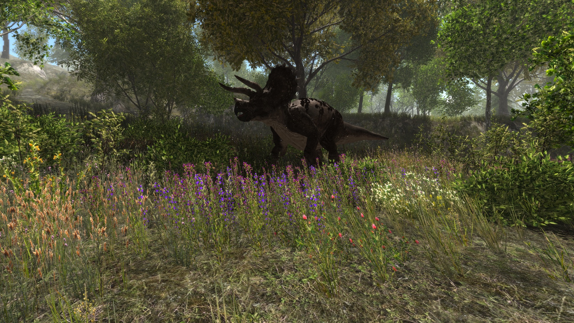 Dinosaur Forest screenshot 5