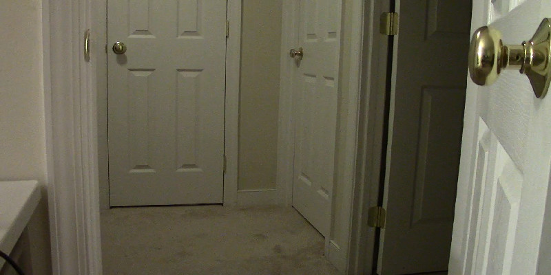 One Night Two Crazies screenshot 3