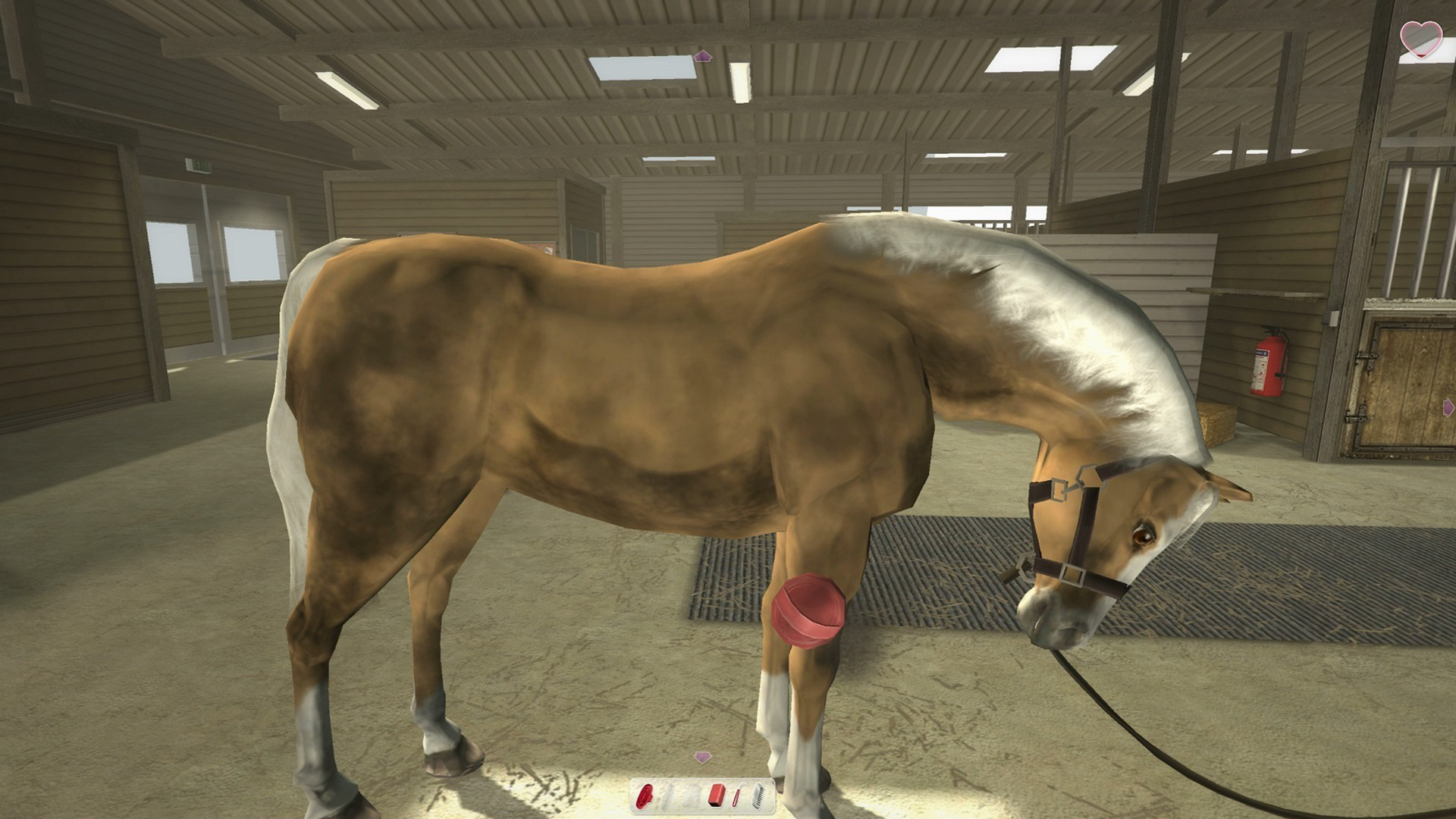Riding Club Championships screenshot 9