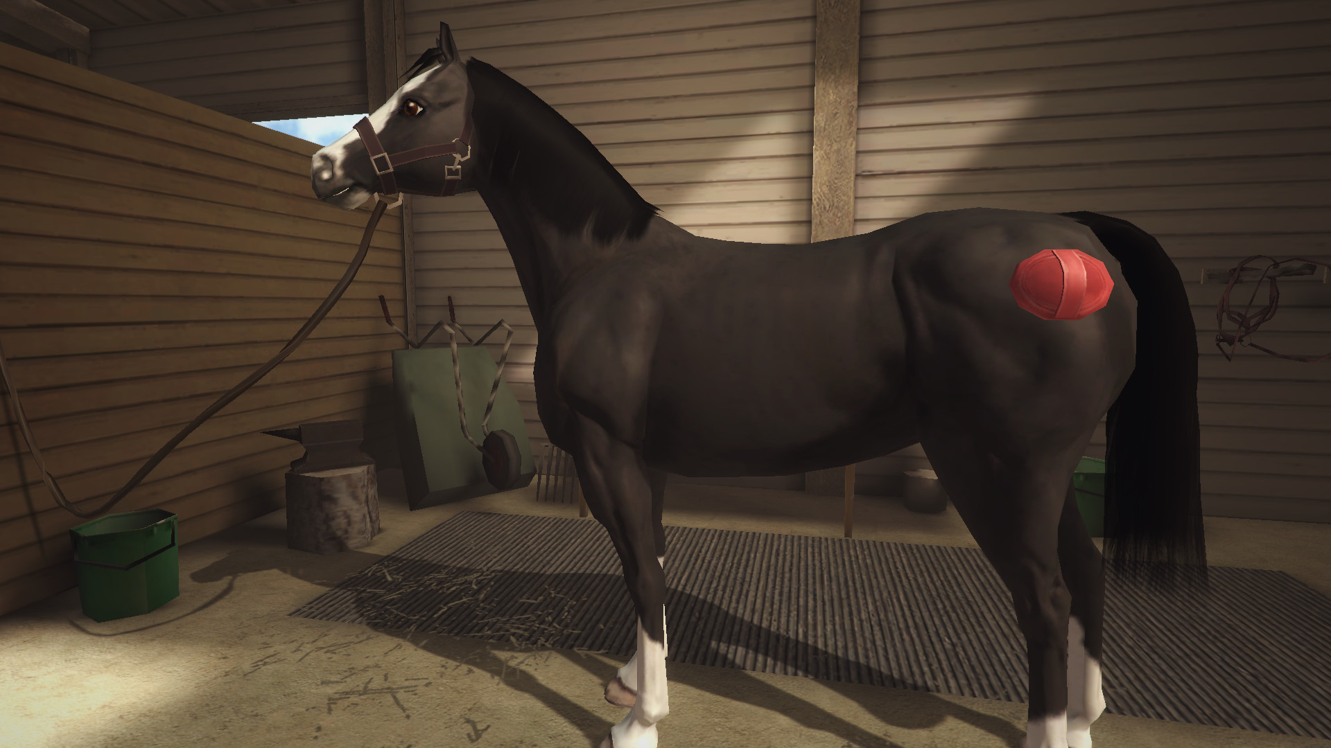 Riding Club Championships screenshot 10