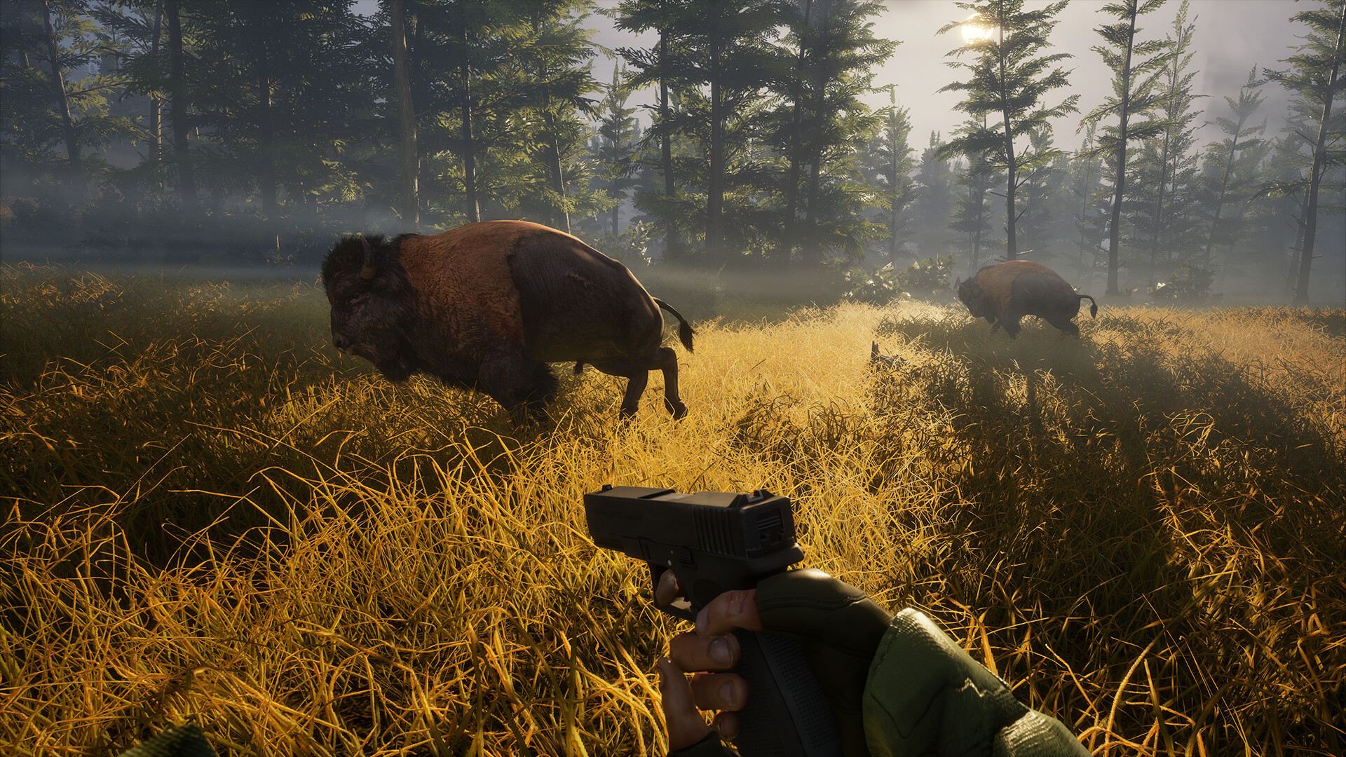BIGFOOT screenshot 2
