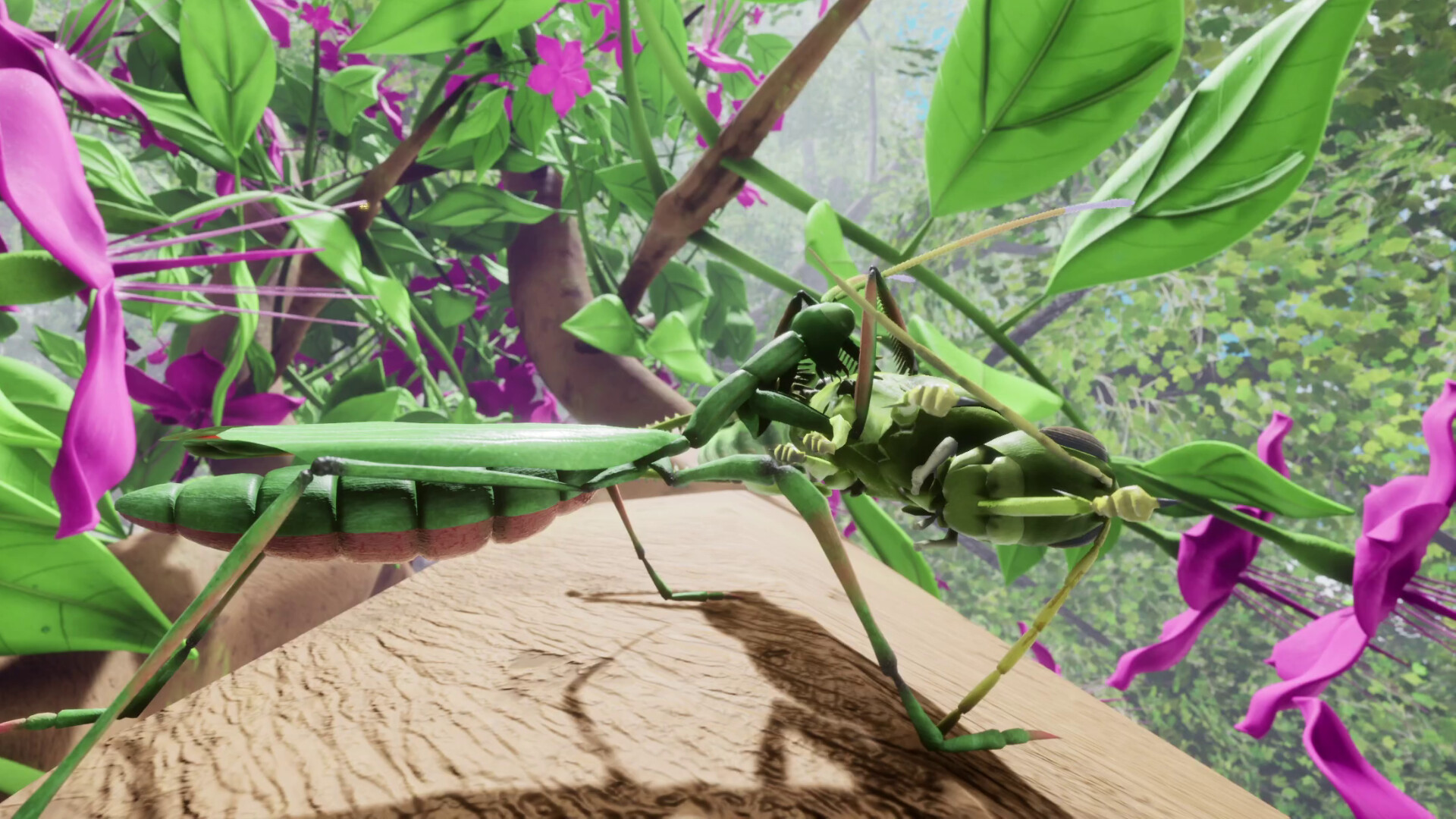 Nature & Life - Drunk On Nectar screenshot 3