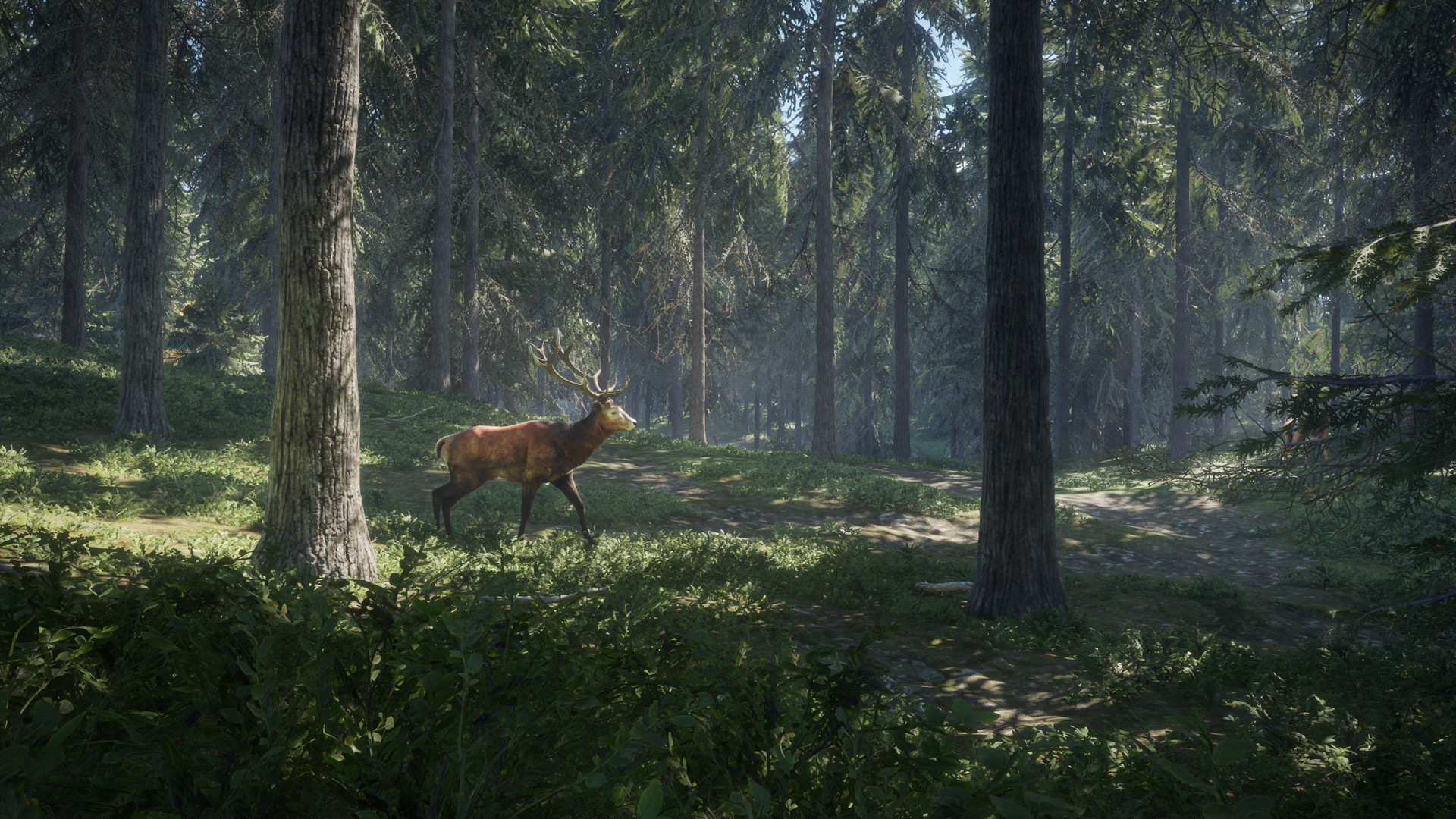 theHunter: Call of the Wild™ screenshot 17