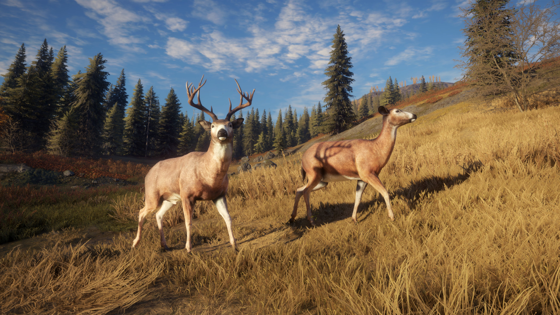 theHunter: Call of the Wild™ screenshot 10