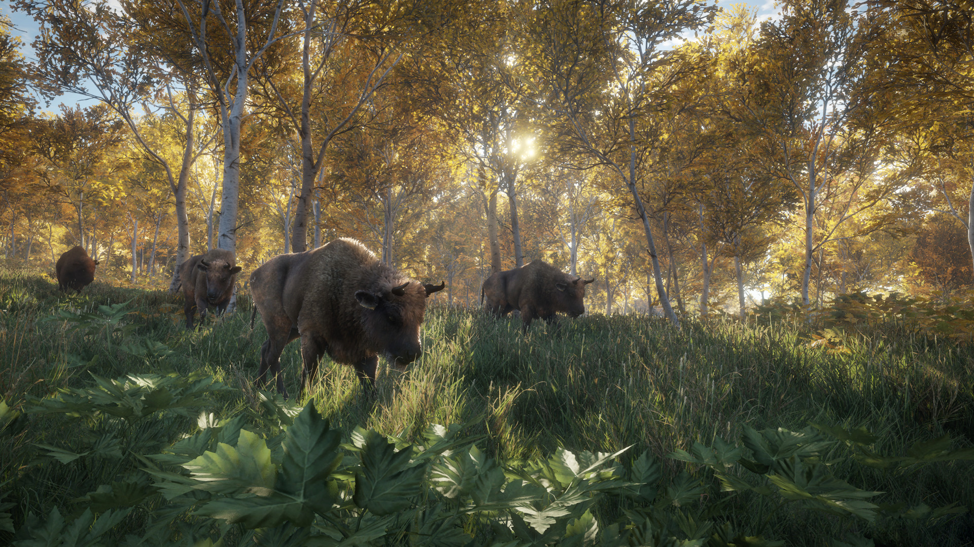 theHunter: Call of the Wild™ screenshot 21