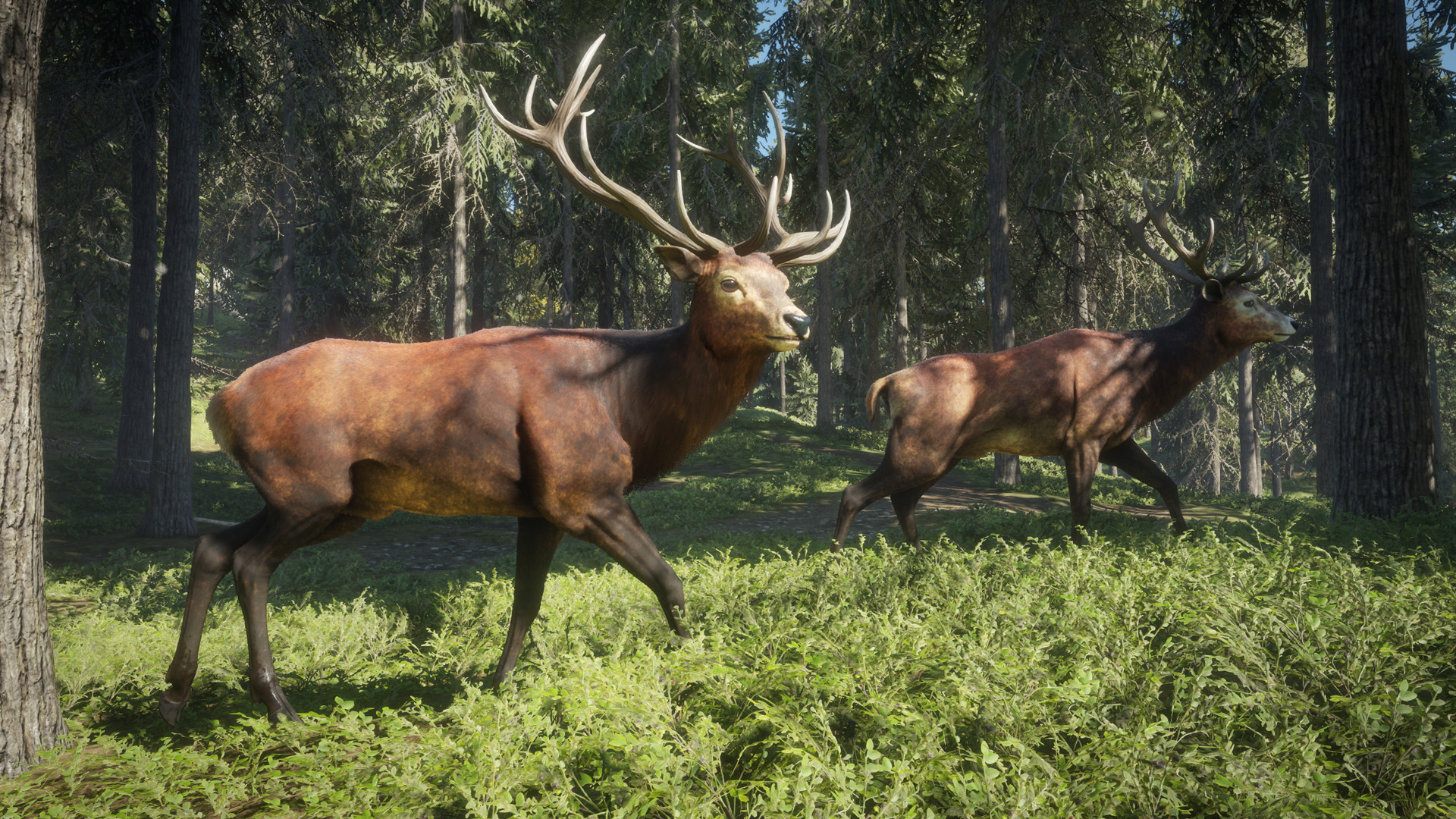 theHunter: Call of the Wild™ screenshot 14