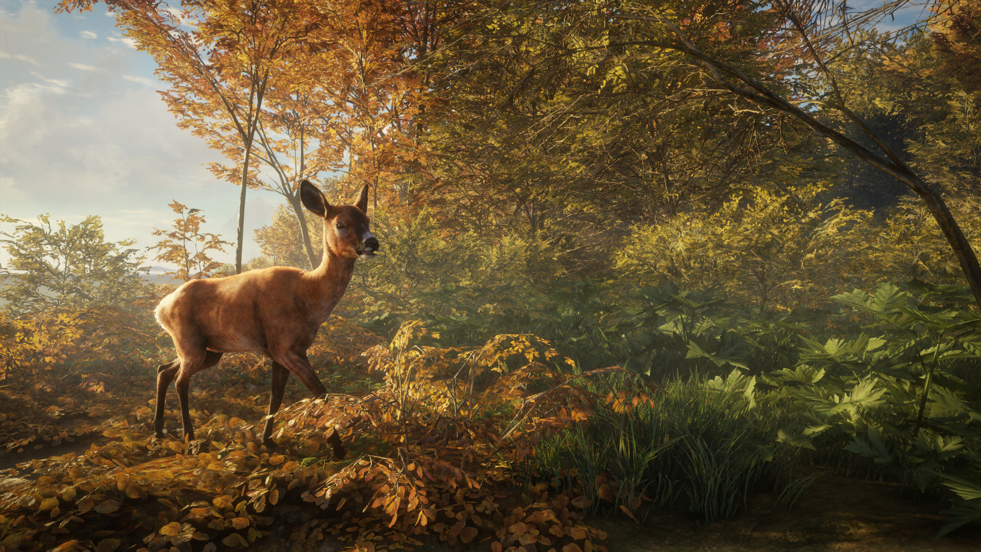 theHunter: Call of the Wild™ screenshot 12