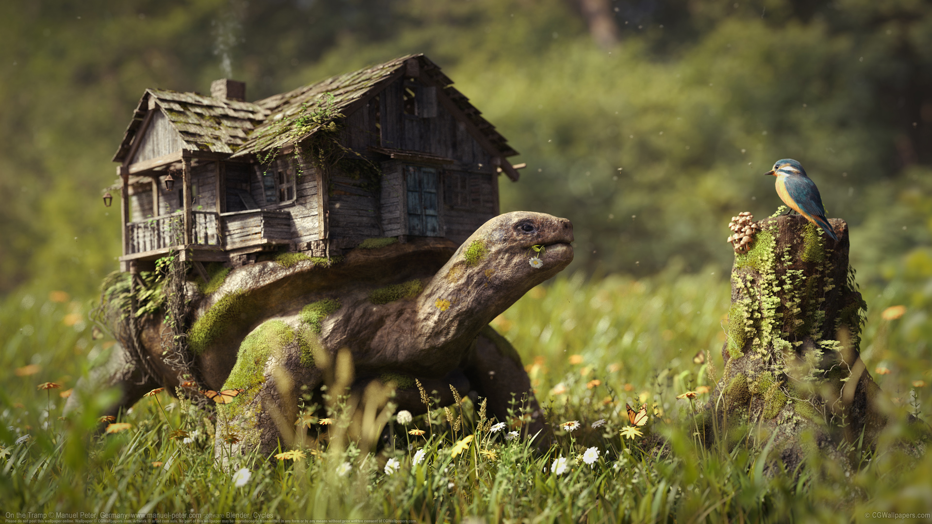CGWallpapers screenshot 3