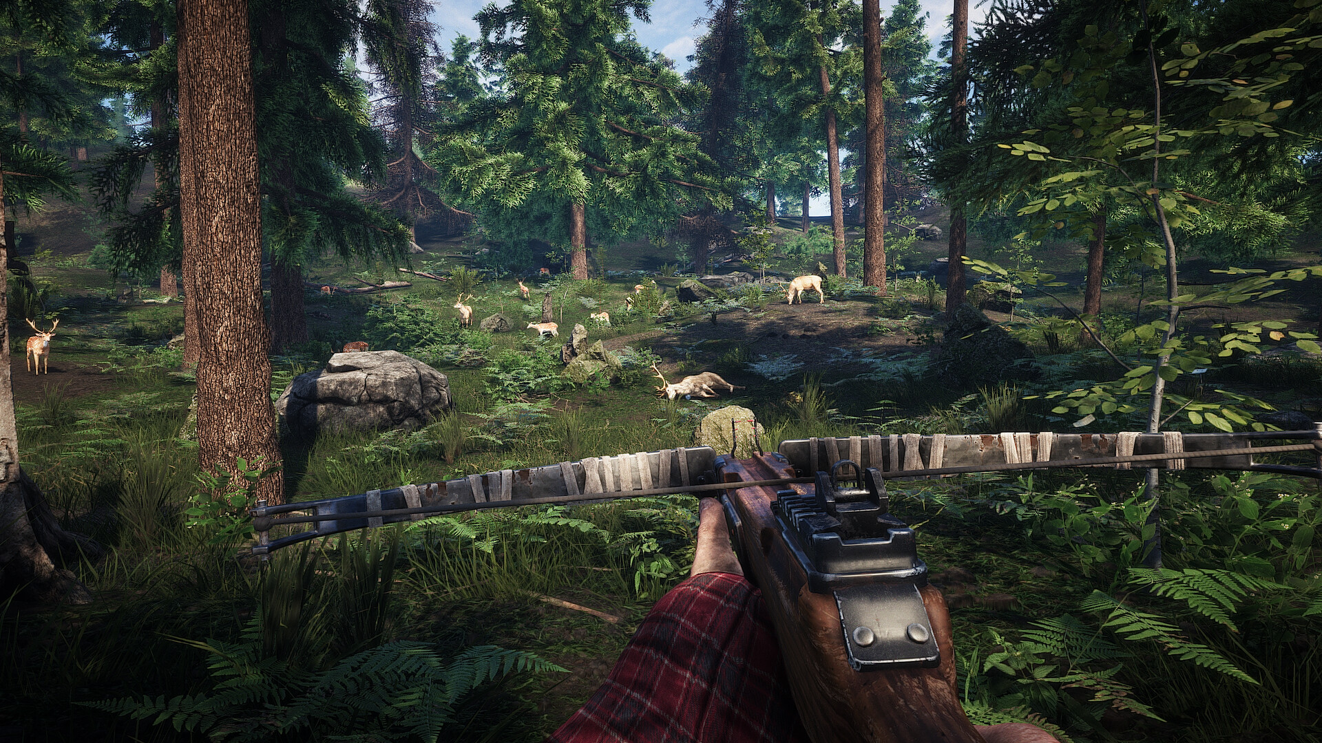 Survive the Nights screenshot 13