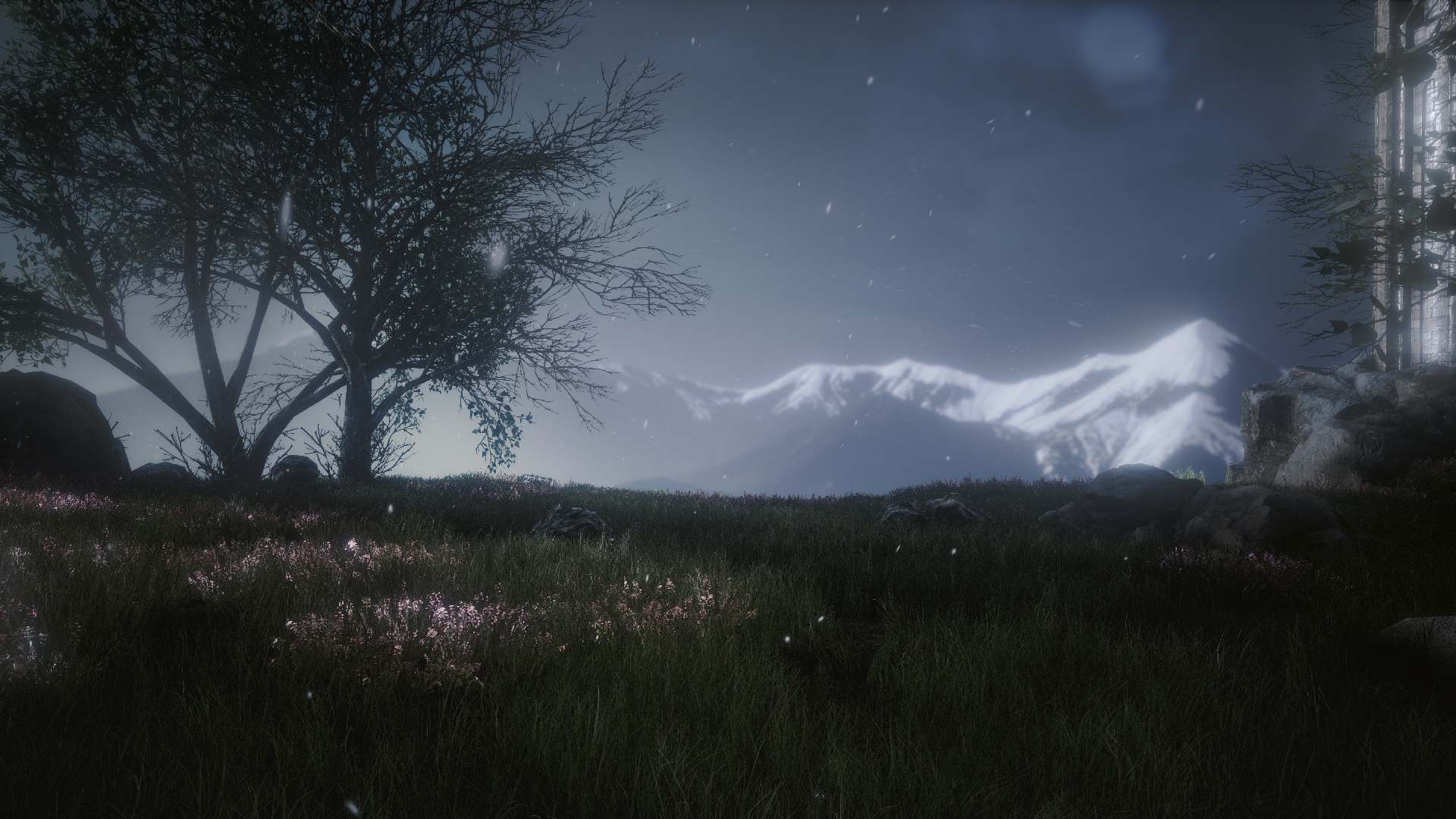 The Butterfly Sign: Human Error screenshot 8