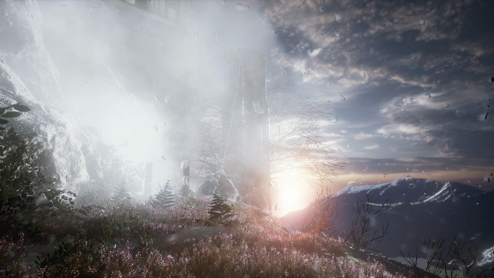 The Butterfly Sign: Human Error screenshot 13