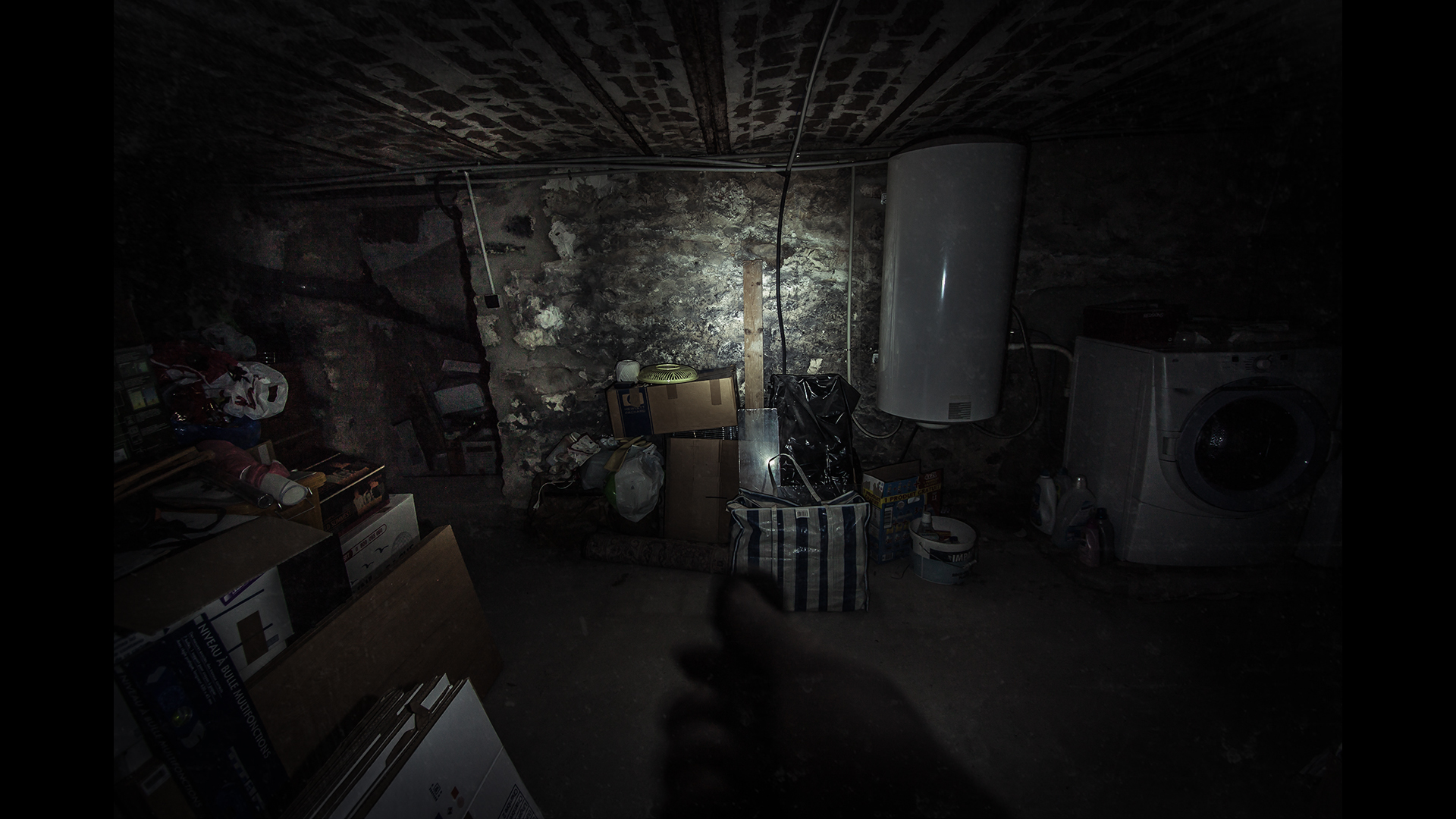 The Fan screenshot 5