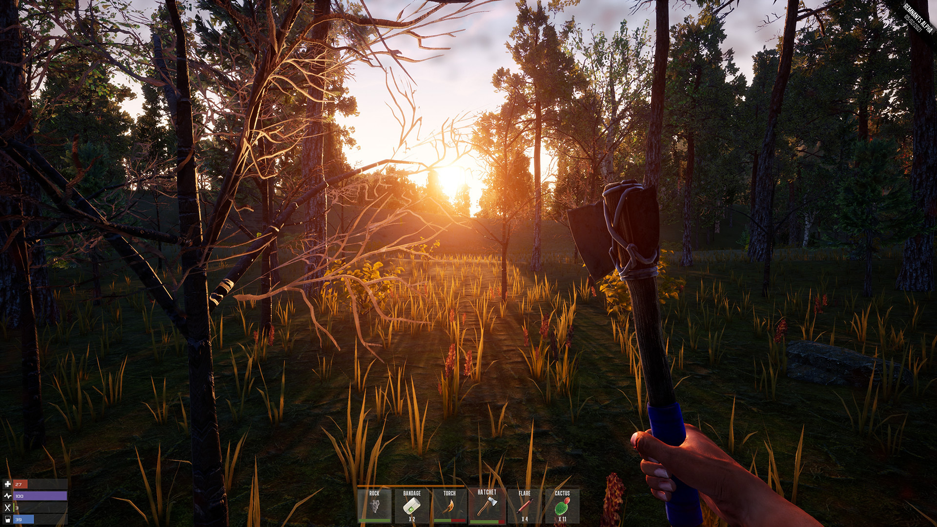 Rem Survival screenshot 1