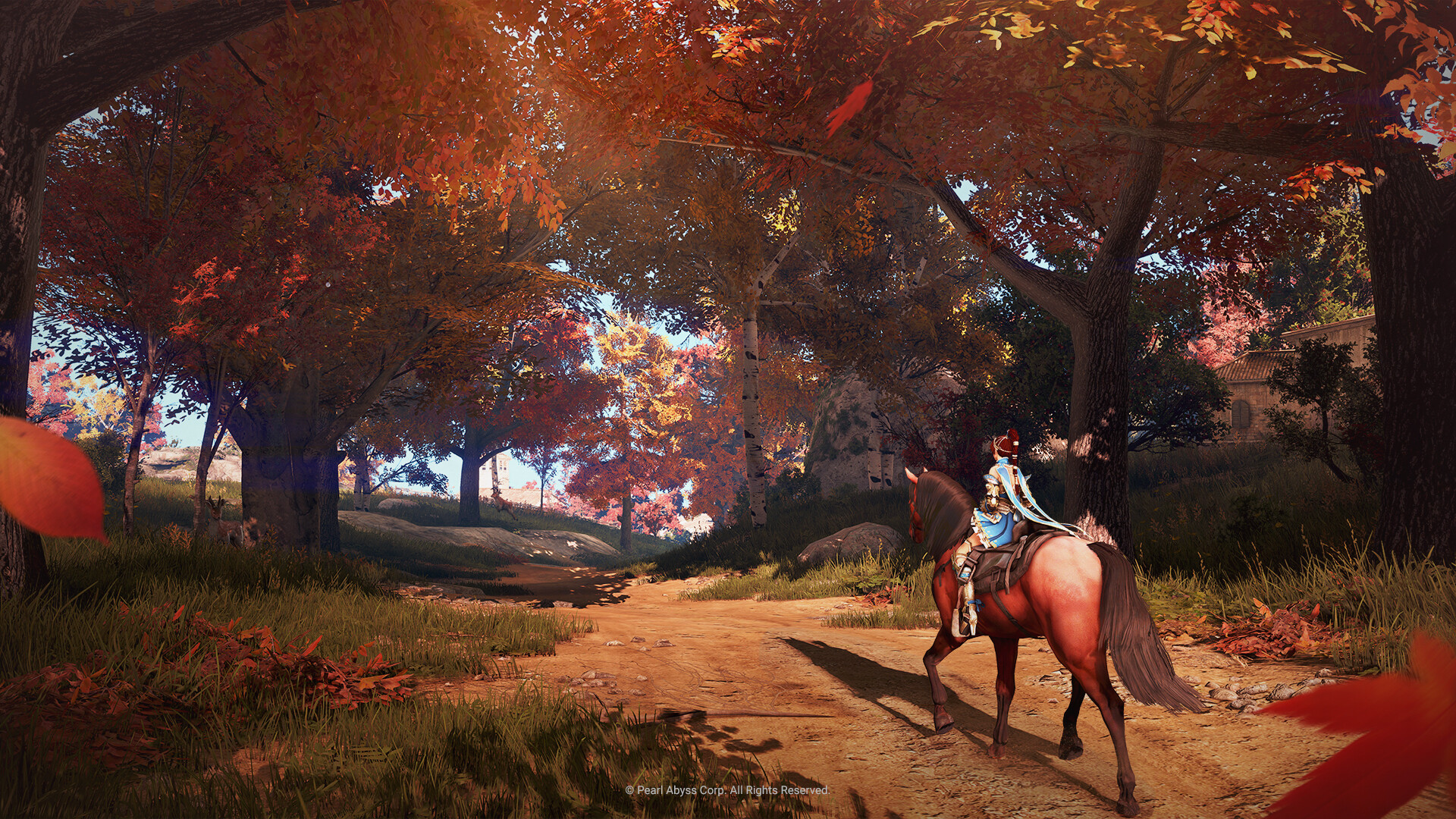 Black Desert screenshot 5