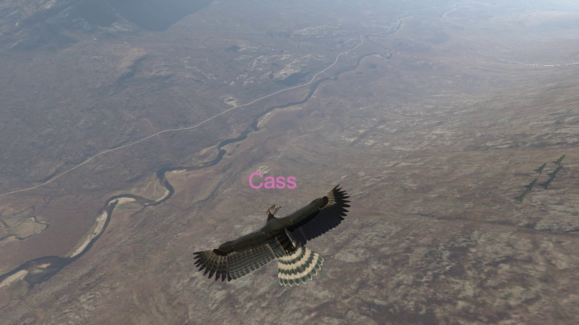 Aquila Bird Flight Simulator screenshot 8