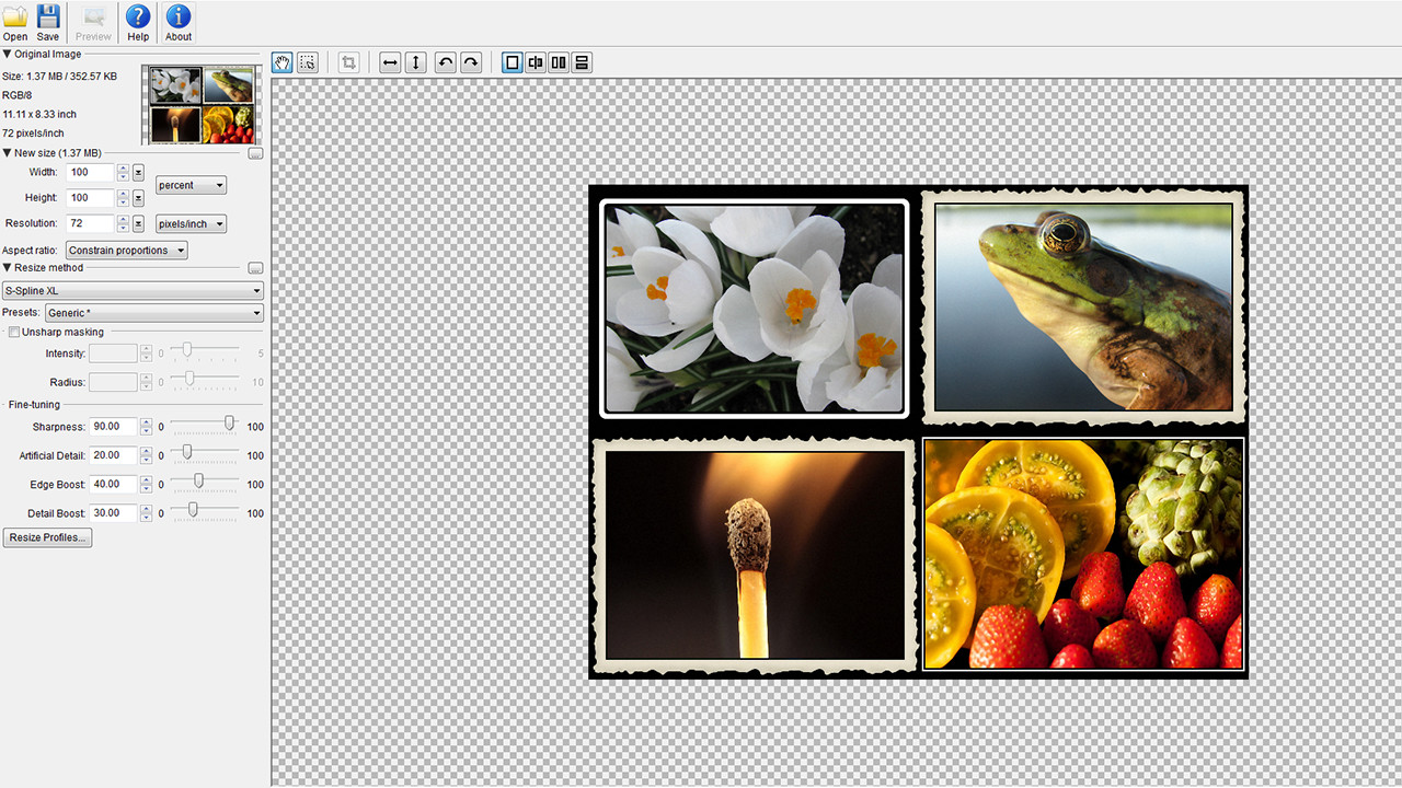 PhotoZoom Classic 6 screenshot 1