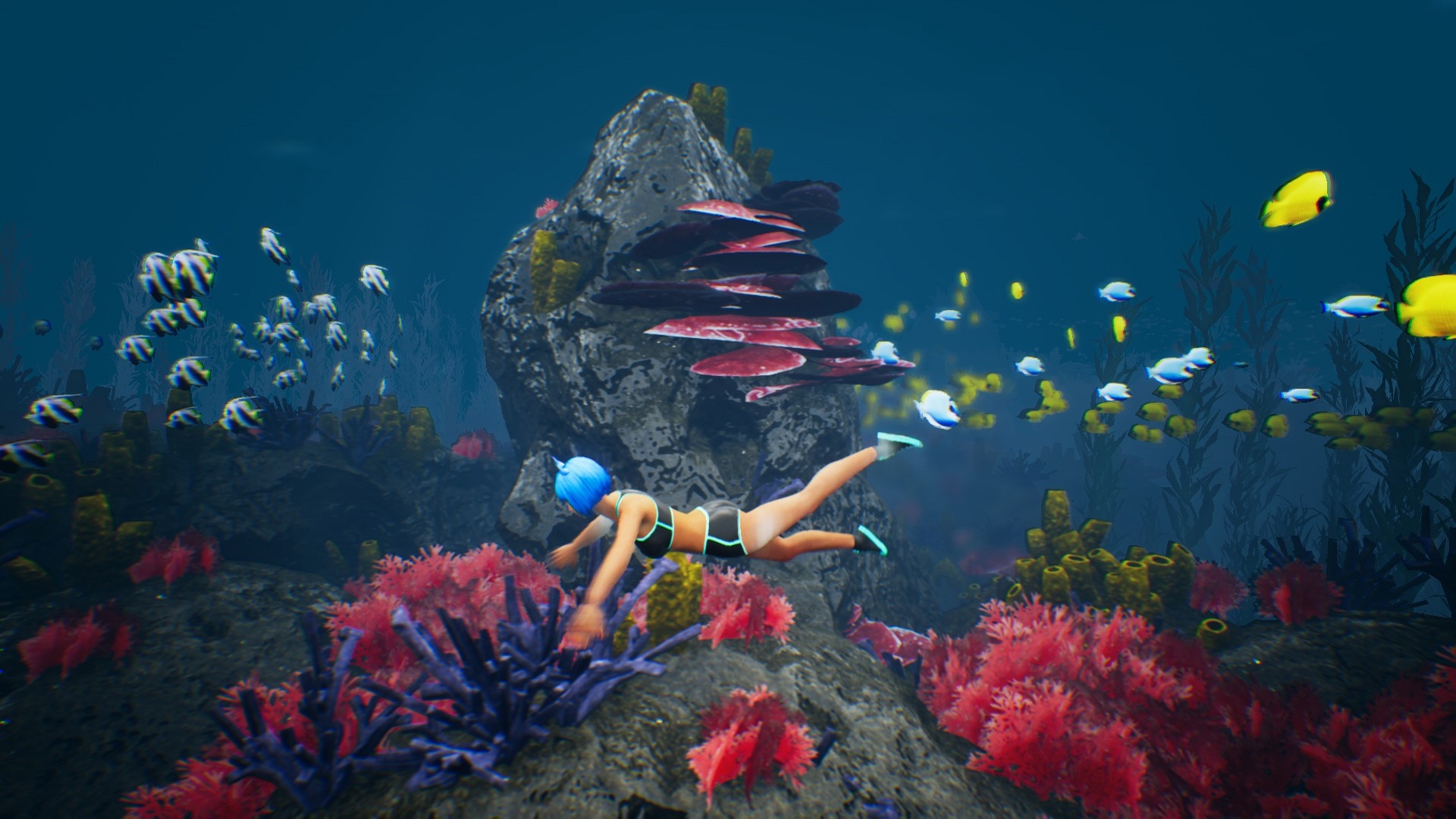 Capsa screenshot 3