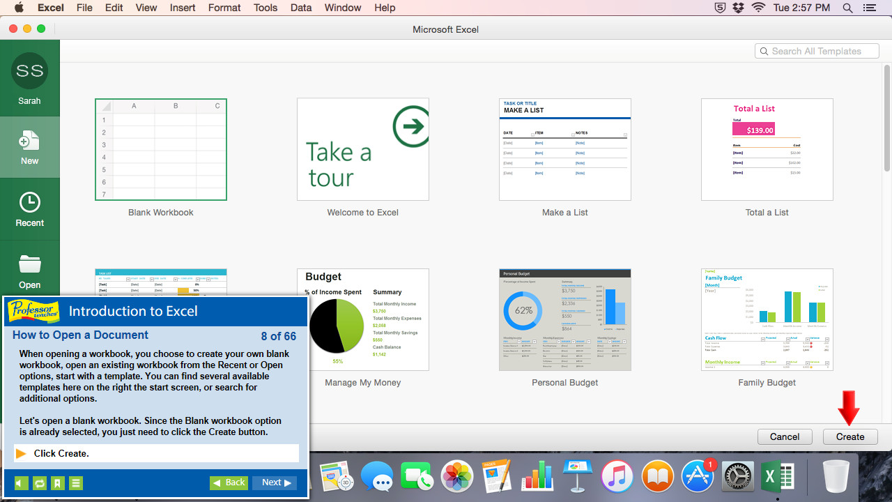 Professor Teaches® Excel 2016 – Mac screenshot 6