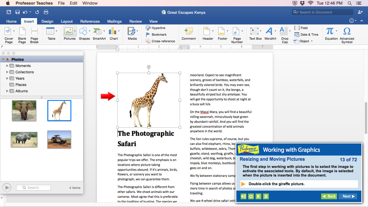 Professor Teaches® Word 2016 – Mac screenshot 3