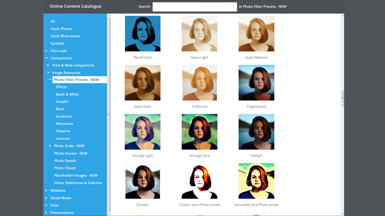 Photo & Graphic Designer 12 Steam Edition screenshot 3
