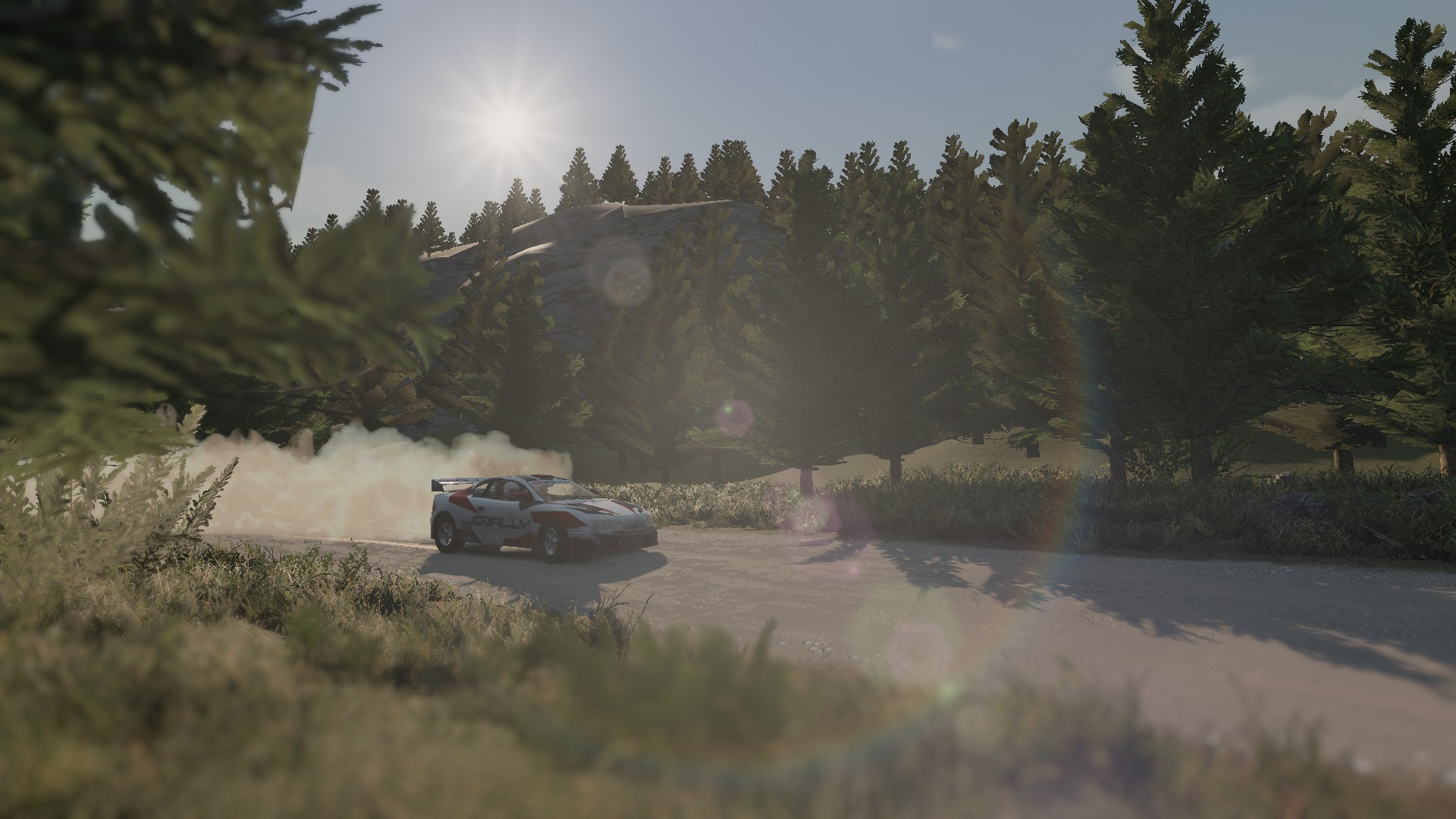 gRally screenshot 2