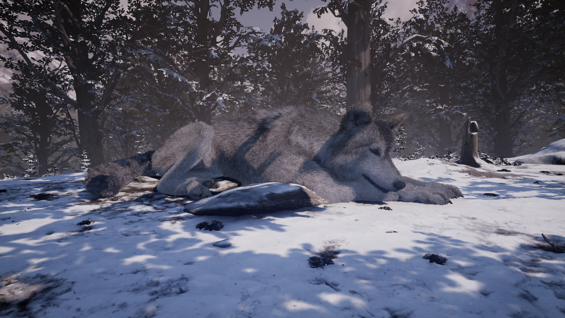 Nephise screenshot 4