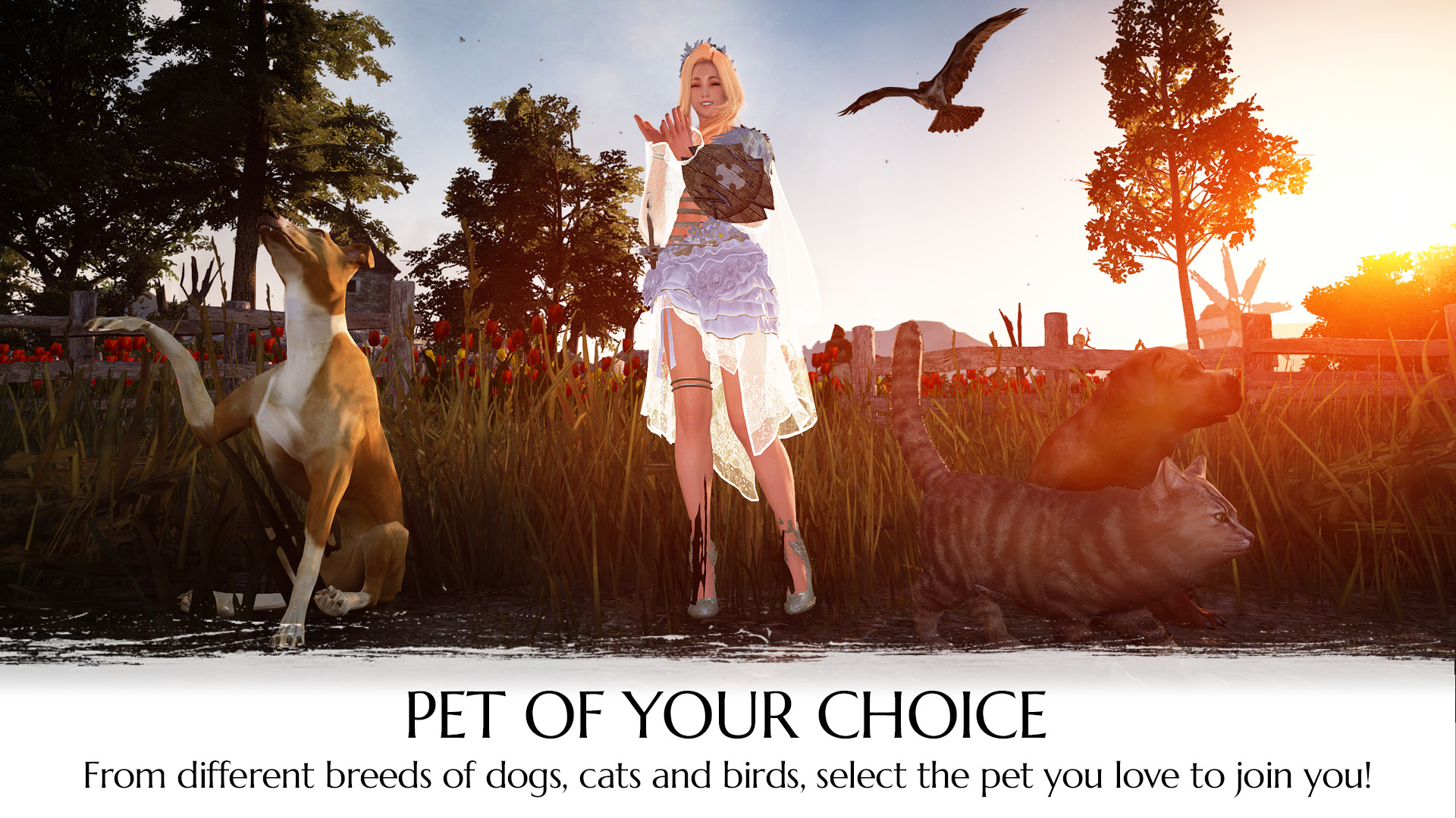 Black Desert Online - Traveler's Package screenshot 3