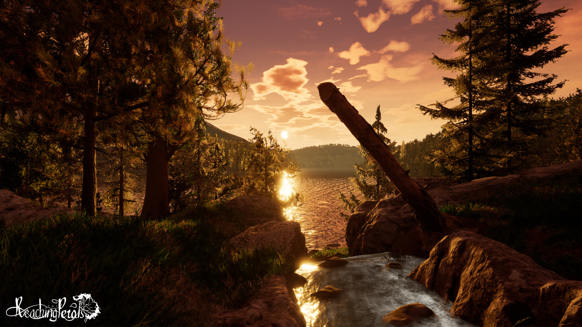 Reaching for Petals screenshot 4