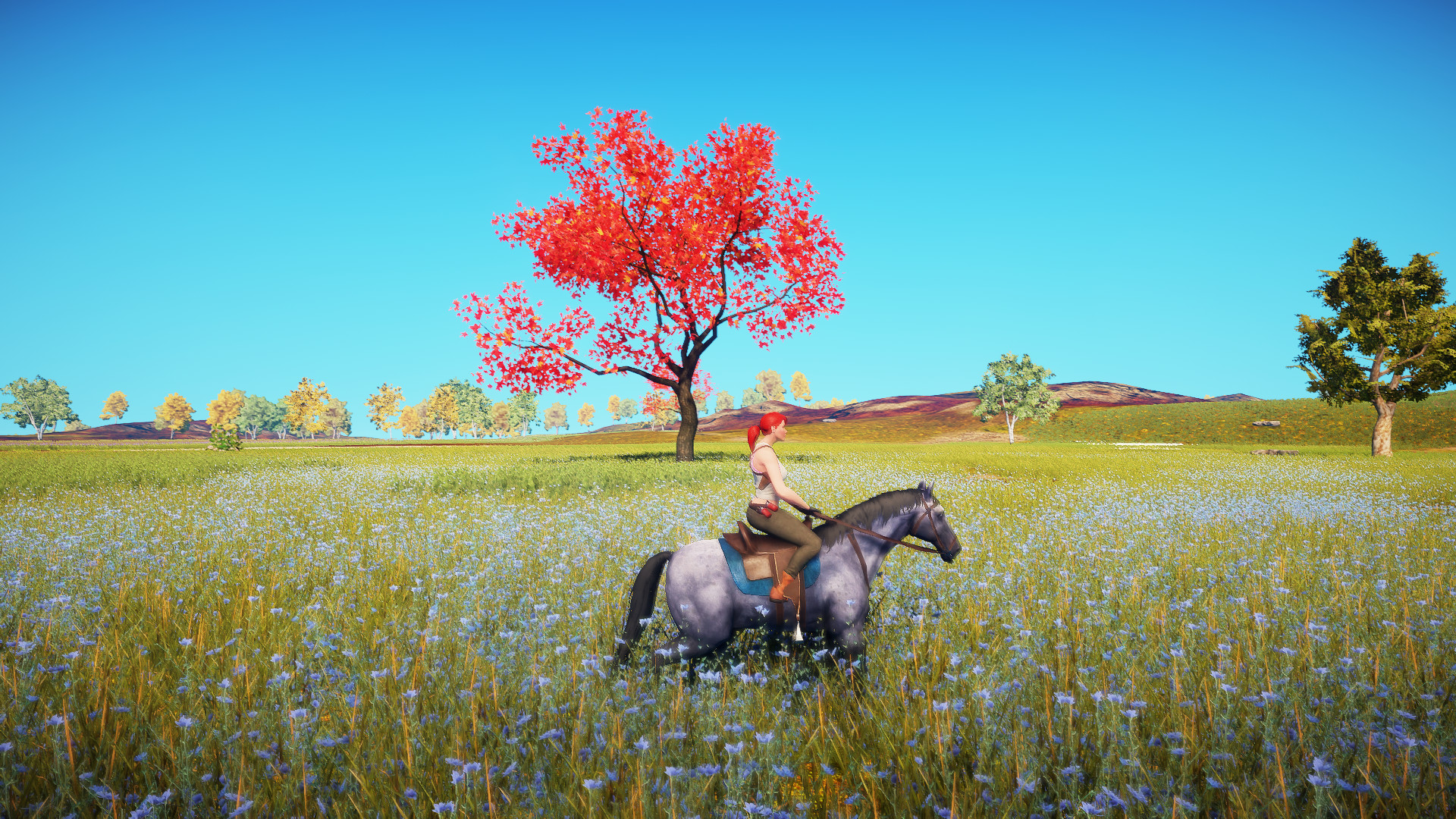 Animallica screenshot 12