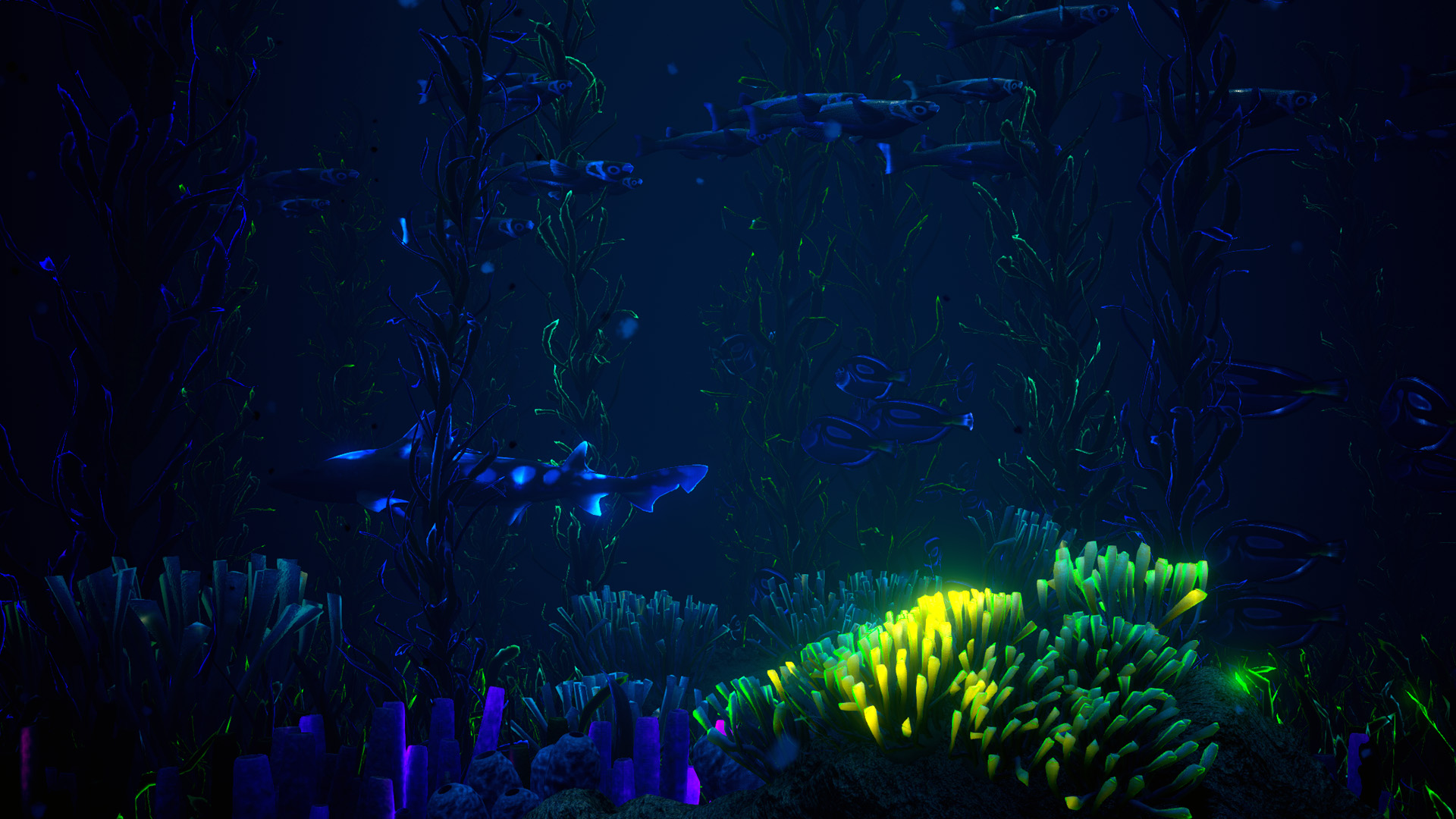Space Dream screenshot 4