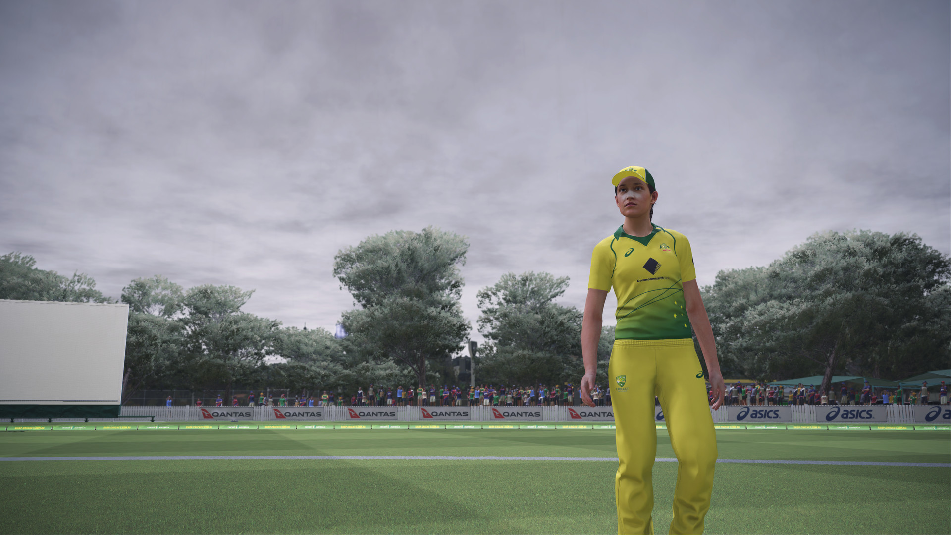 Ashes Cricket screenshot 4