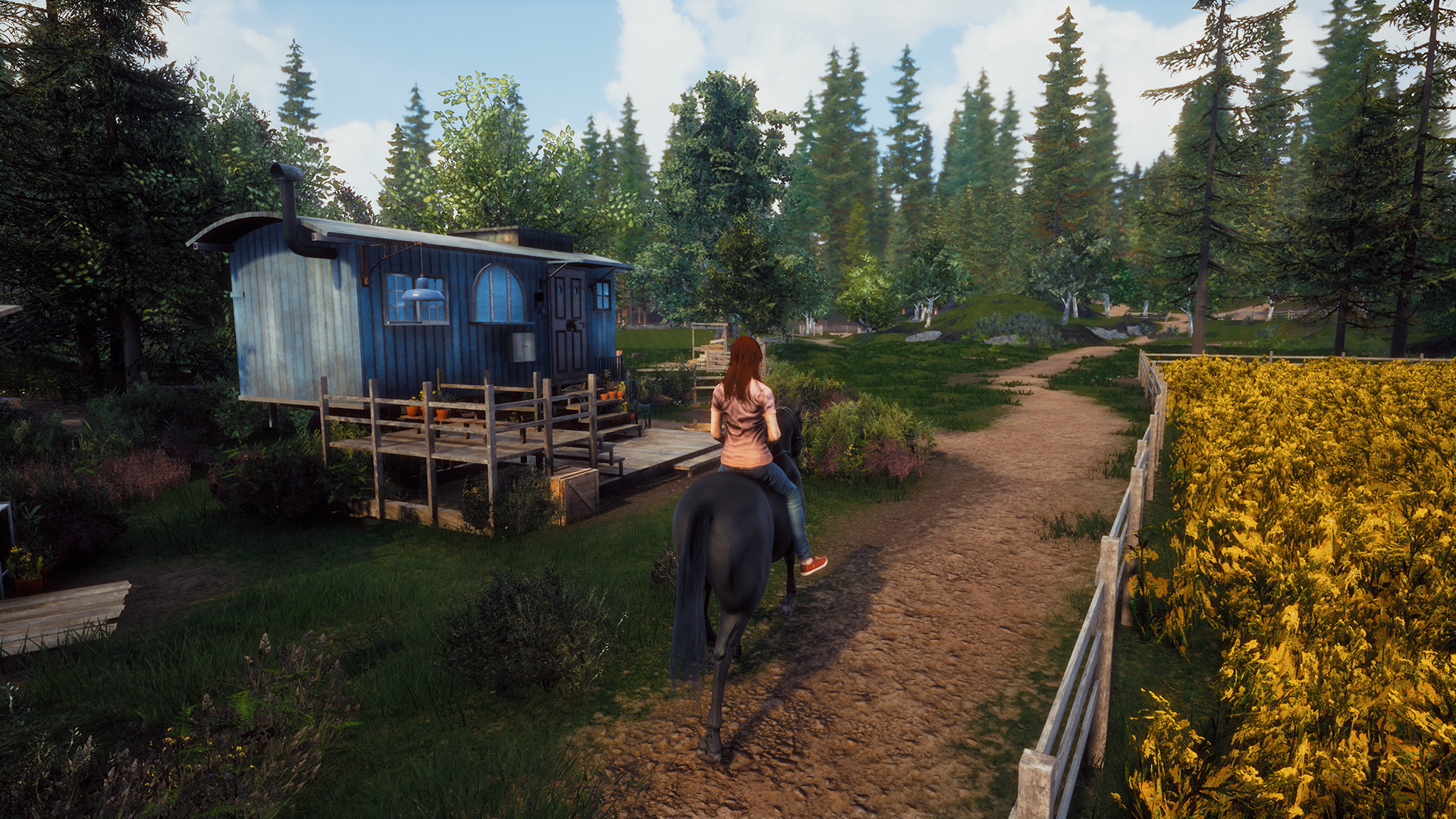 Windstorm: Start of a Great Friendship screenshot 4