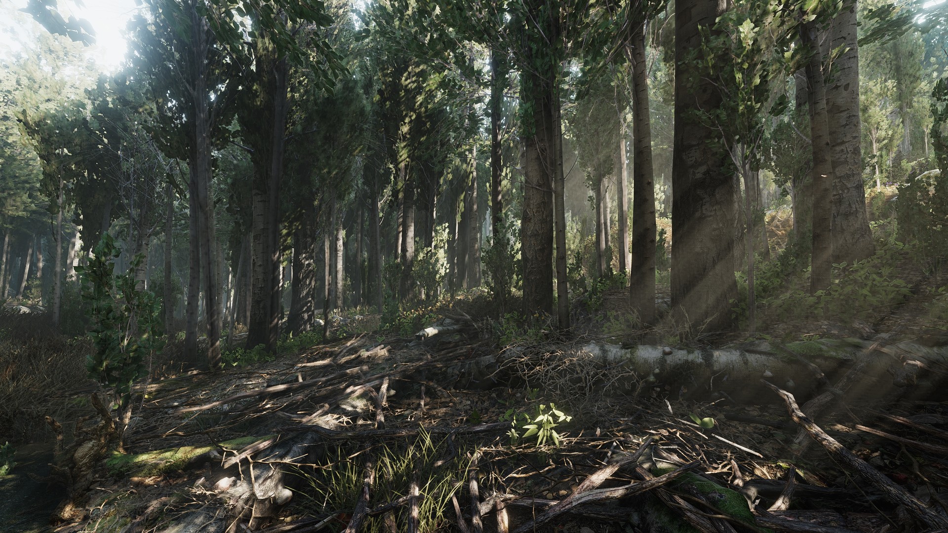 Heat screenshot 4