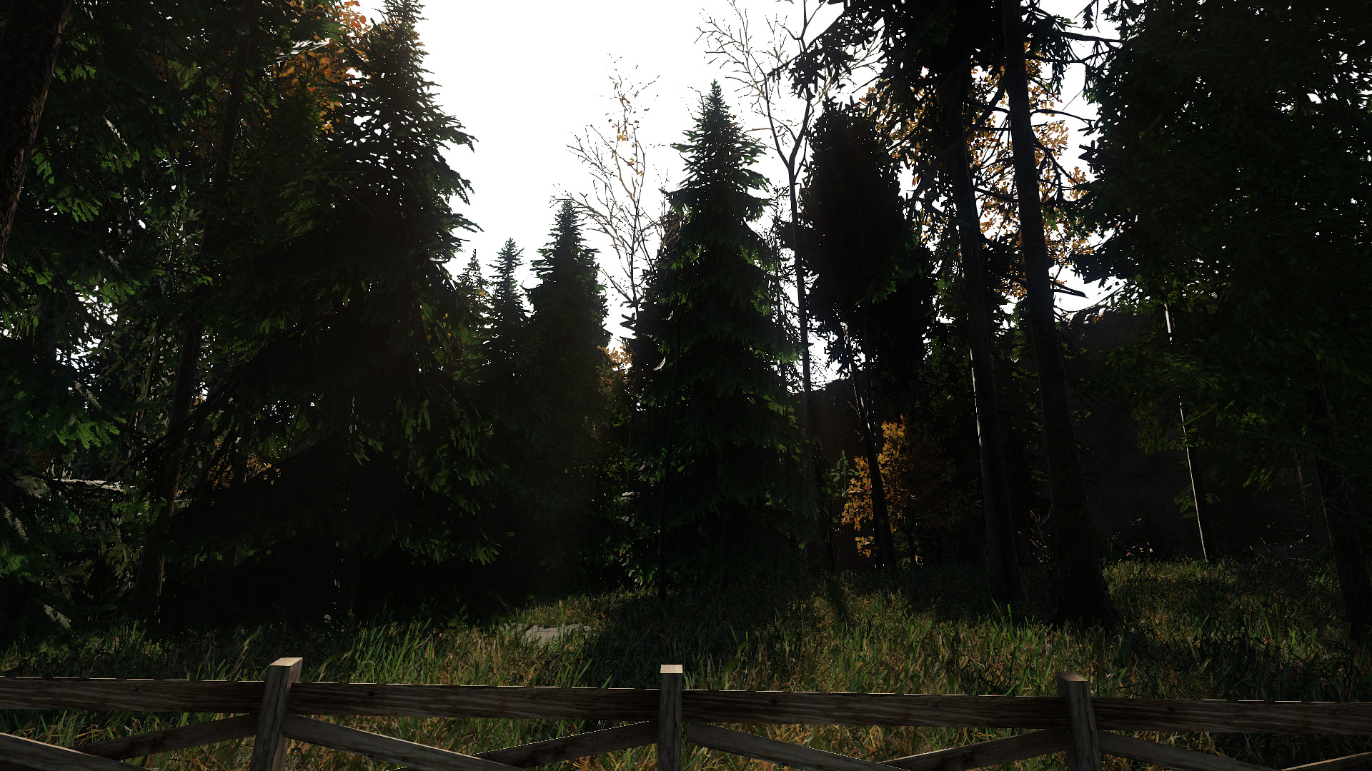 Room 54 screenshot 14