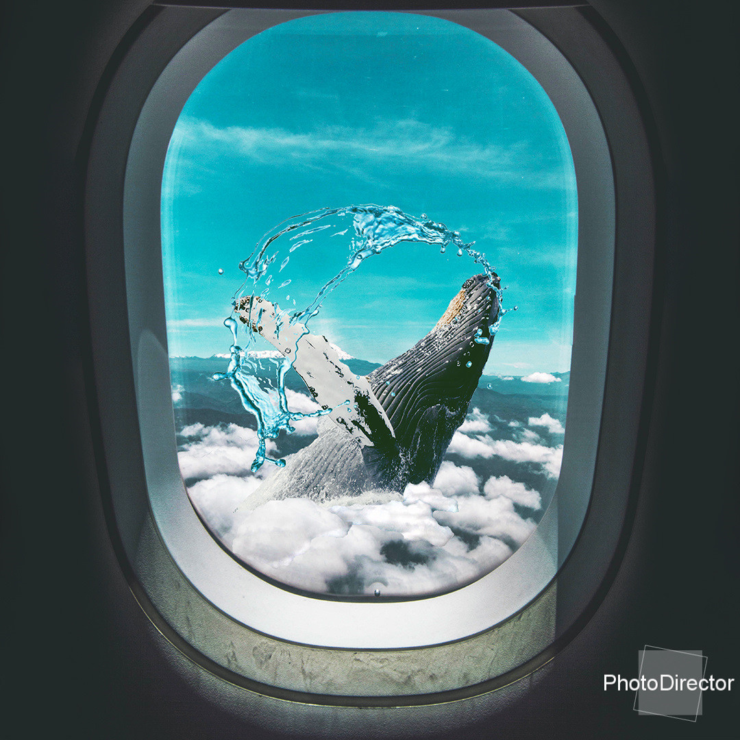 CyberLink PhotoDirector 9 Deluxe - Photo editor, photo editing software screenshot 3